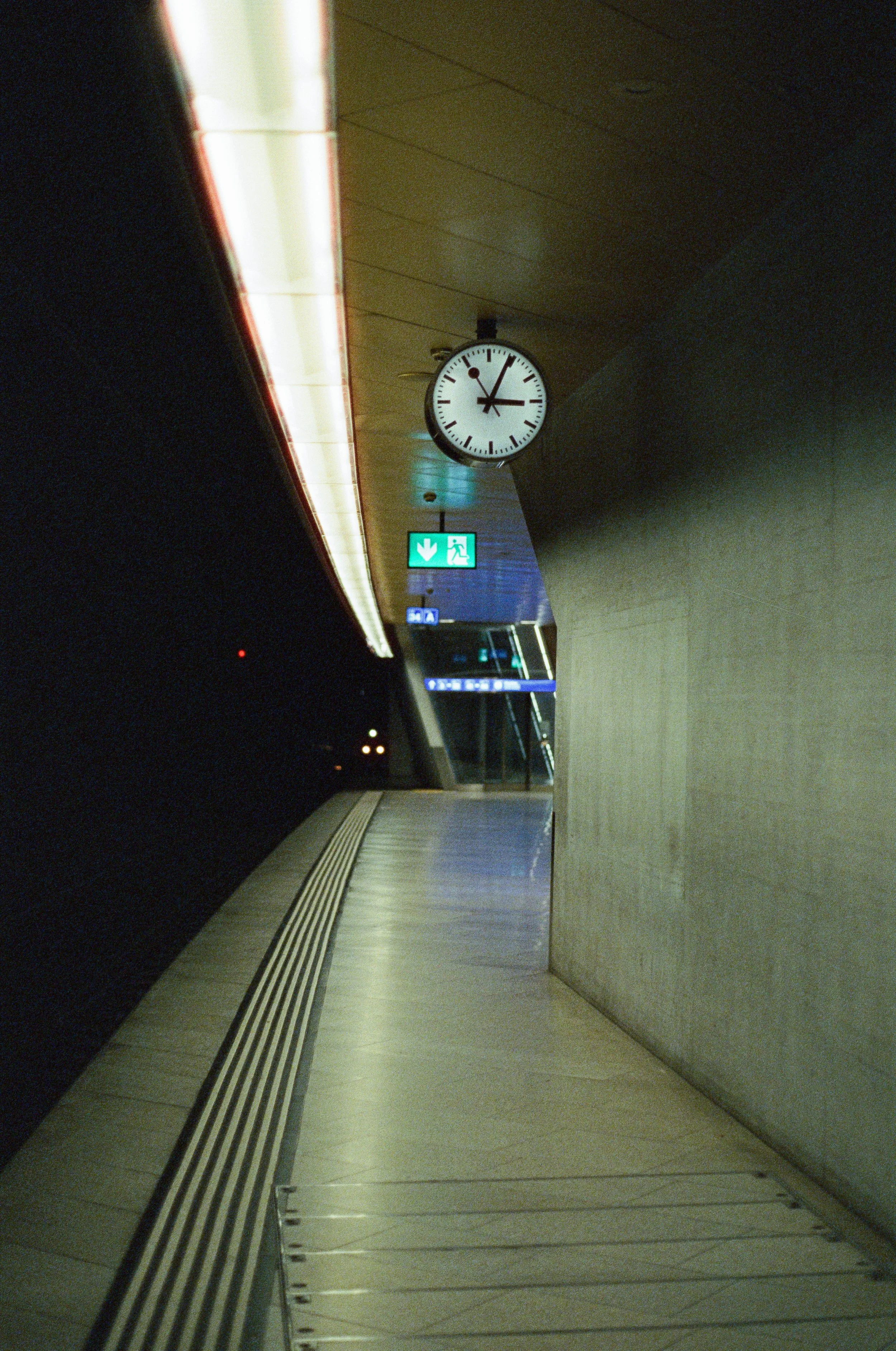 film photogarphy 2025-2.jpg