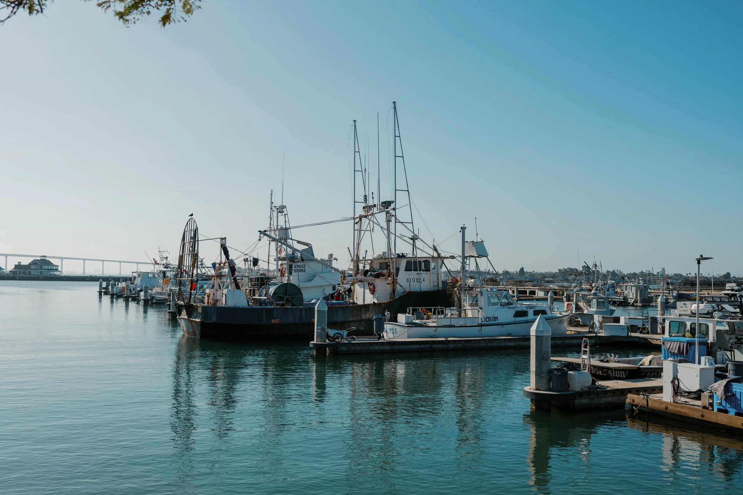 San diego 2025-2.jpg