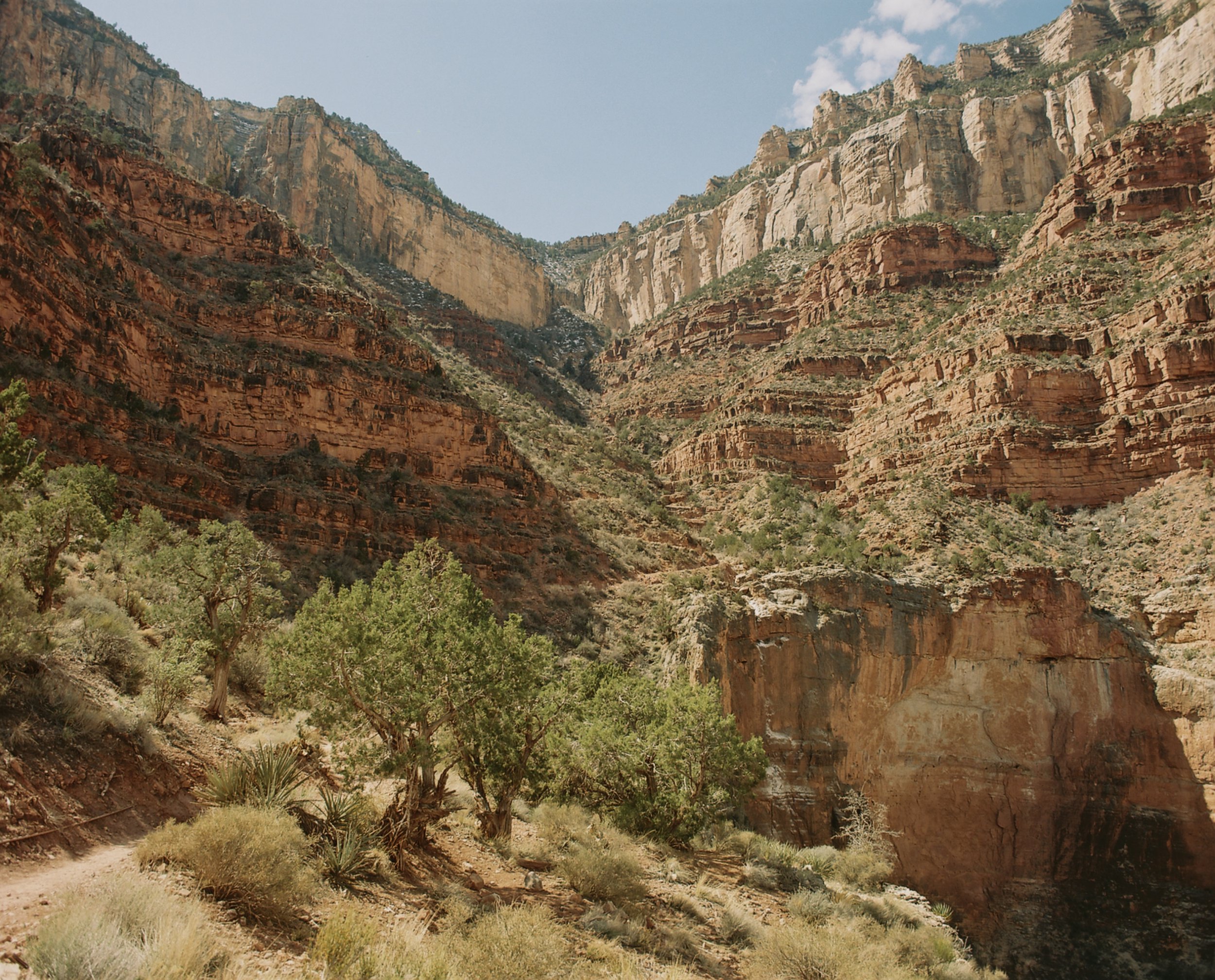 "Canyon" 2022