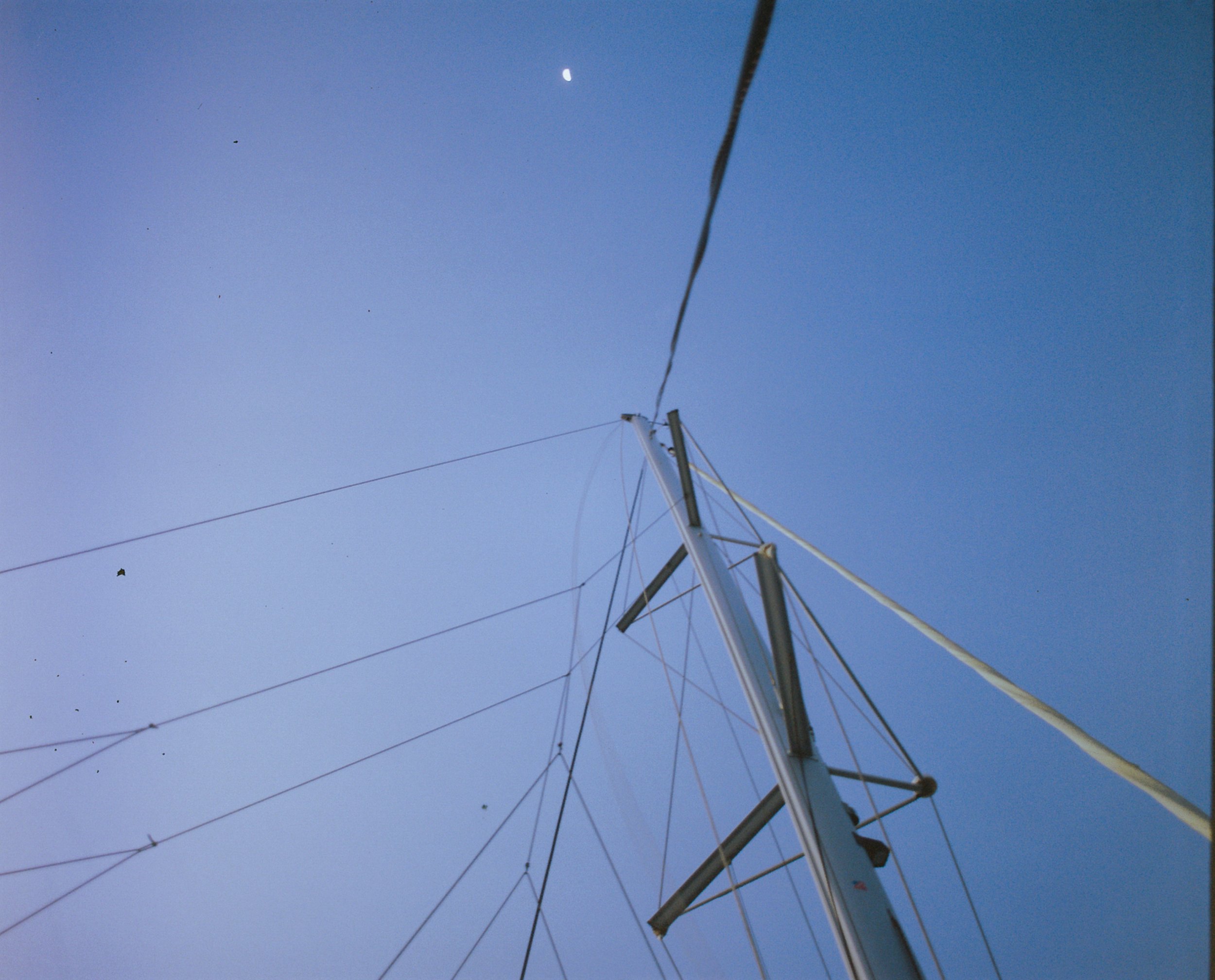 "Starboard Gaze" 2023