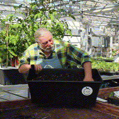 fertilizer dolomite addin.gif