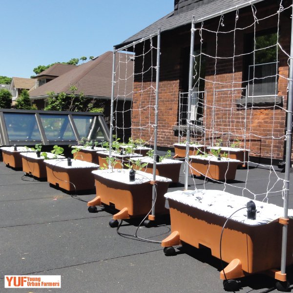 square-photo-earthbox-rooftop.jpg