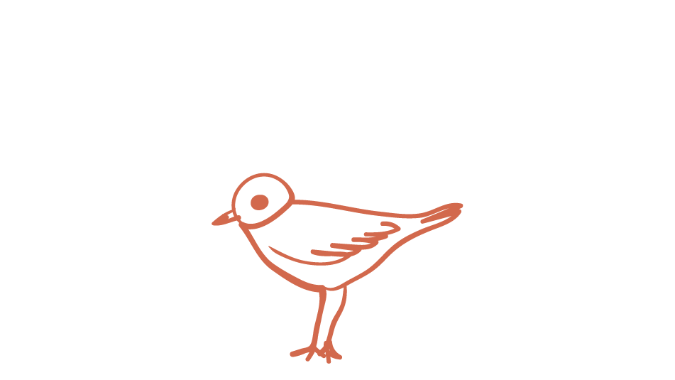 Audubon Educational Walk