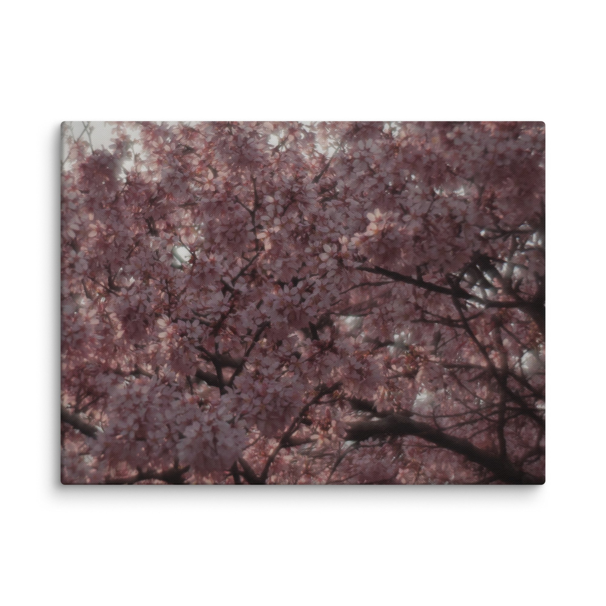 canvas-(in)-18x24-wall-67e60408b4be3.jpg