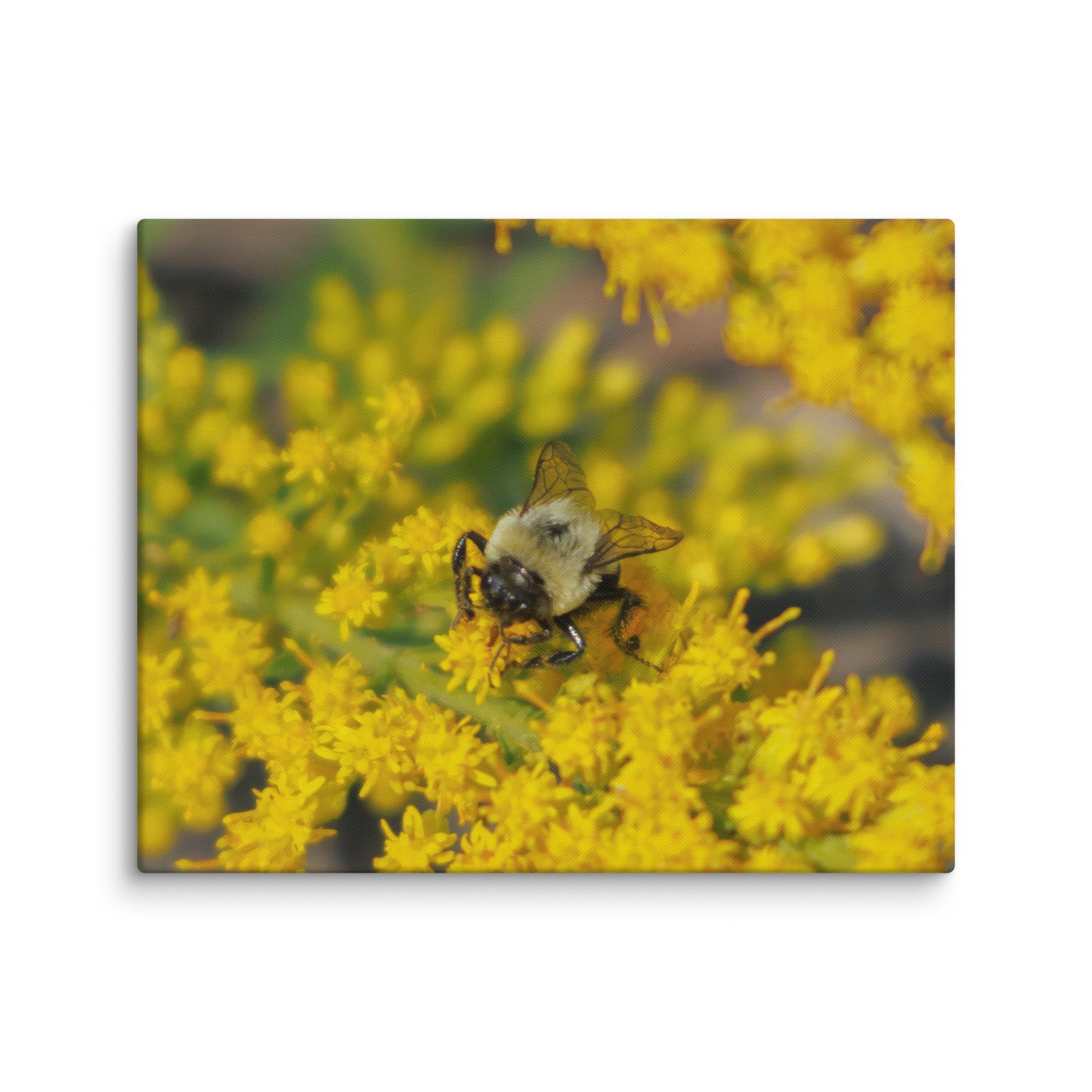 canvas-(in)-16x20-wall-67e60bed6fa90.jpg