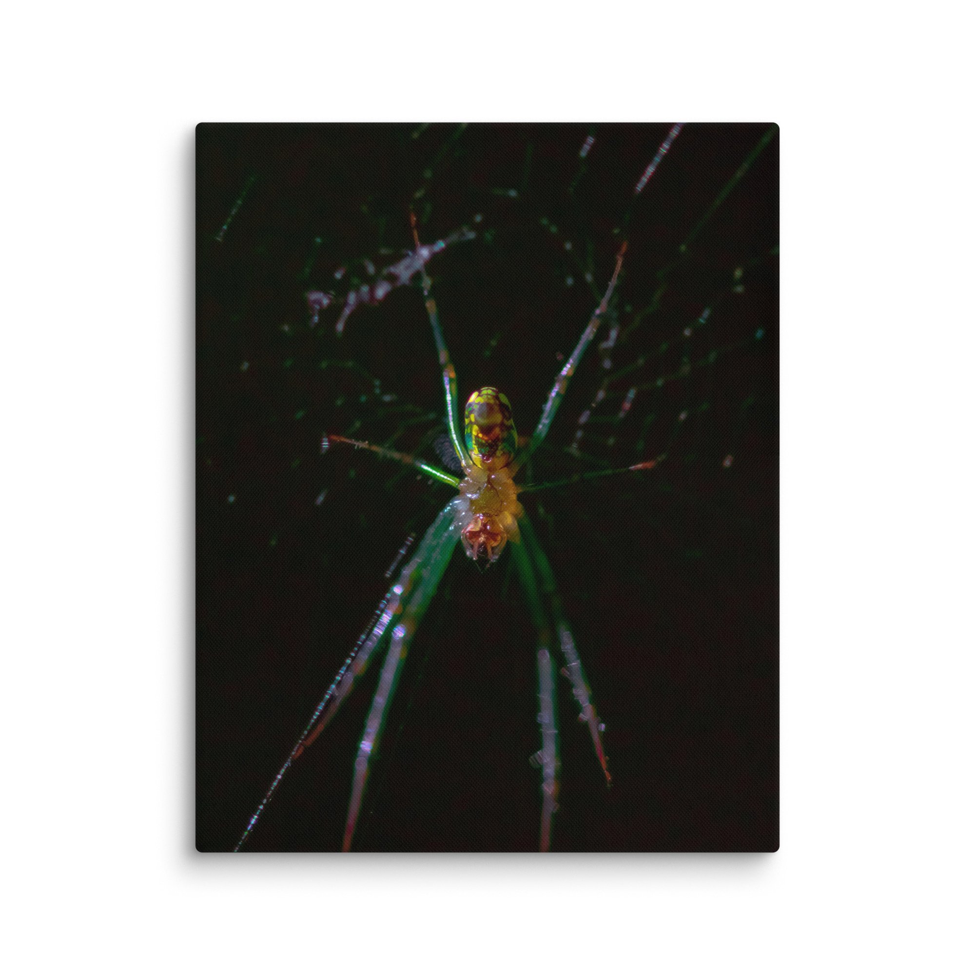 canvas-(in)-16x20-wall-67e60c61931f1.jpg