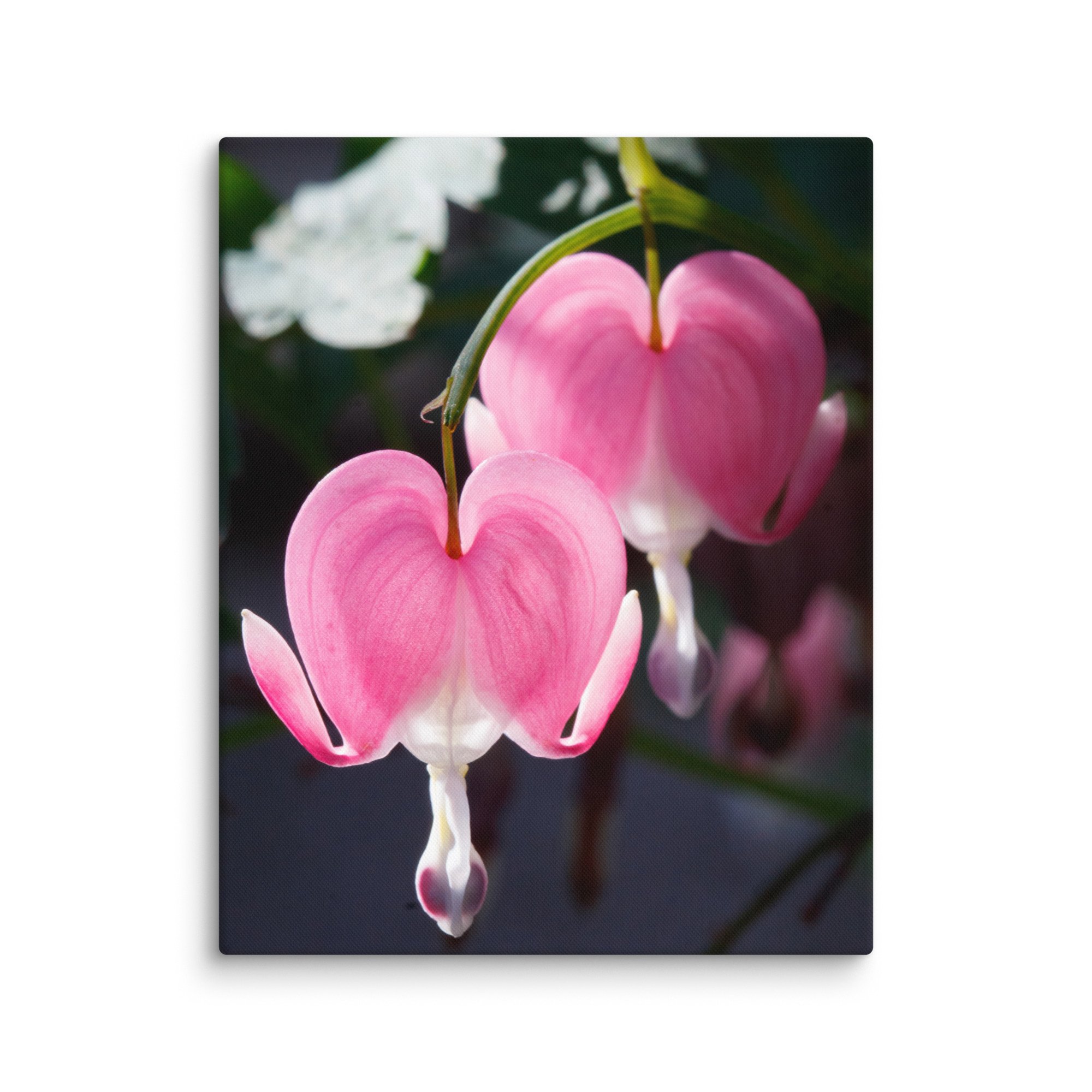 canvas-(in)-16x20-wall-67e60d667b716.jpg
