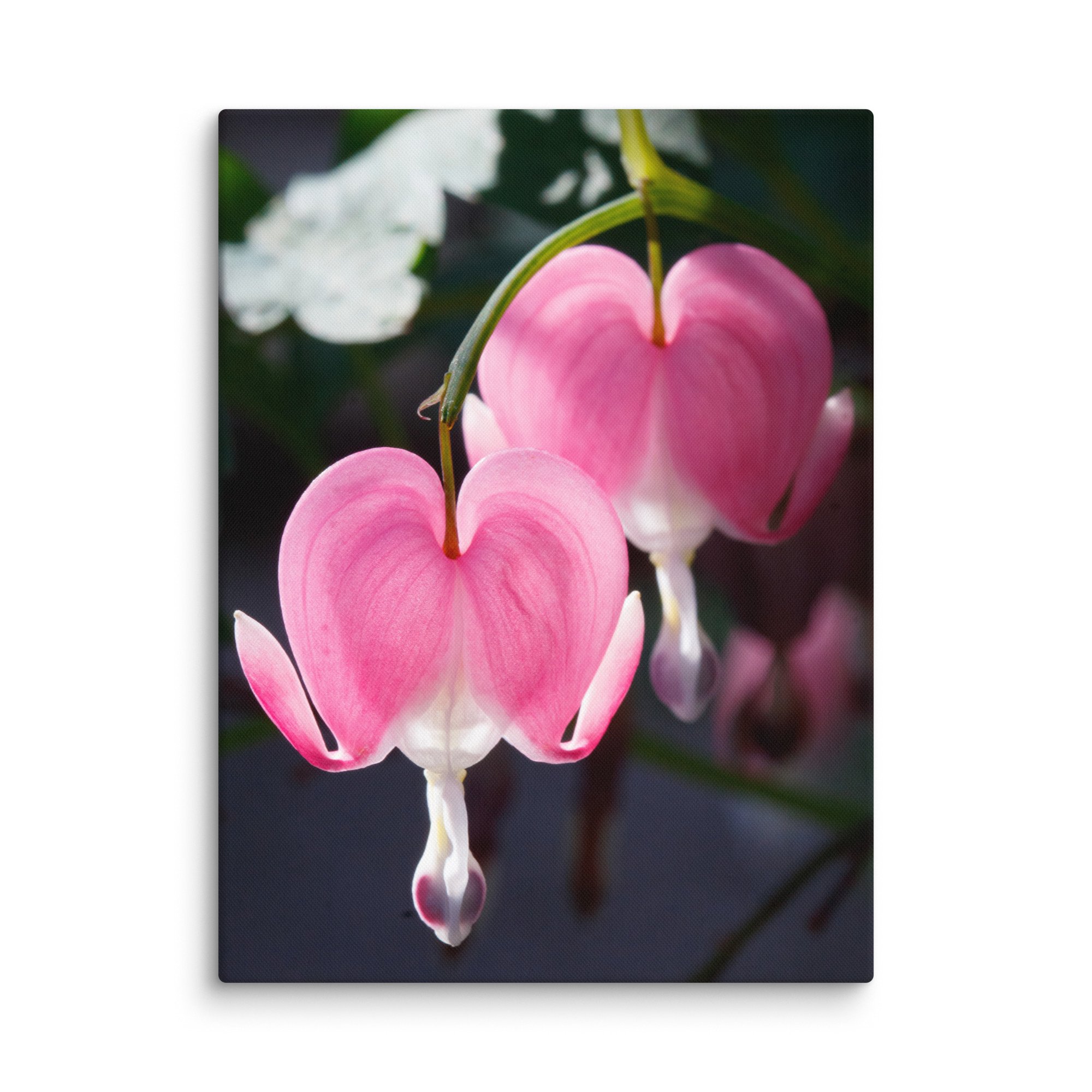 canvas-(in)-18x24-wall-67e60d667bdff.jpg