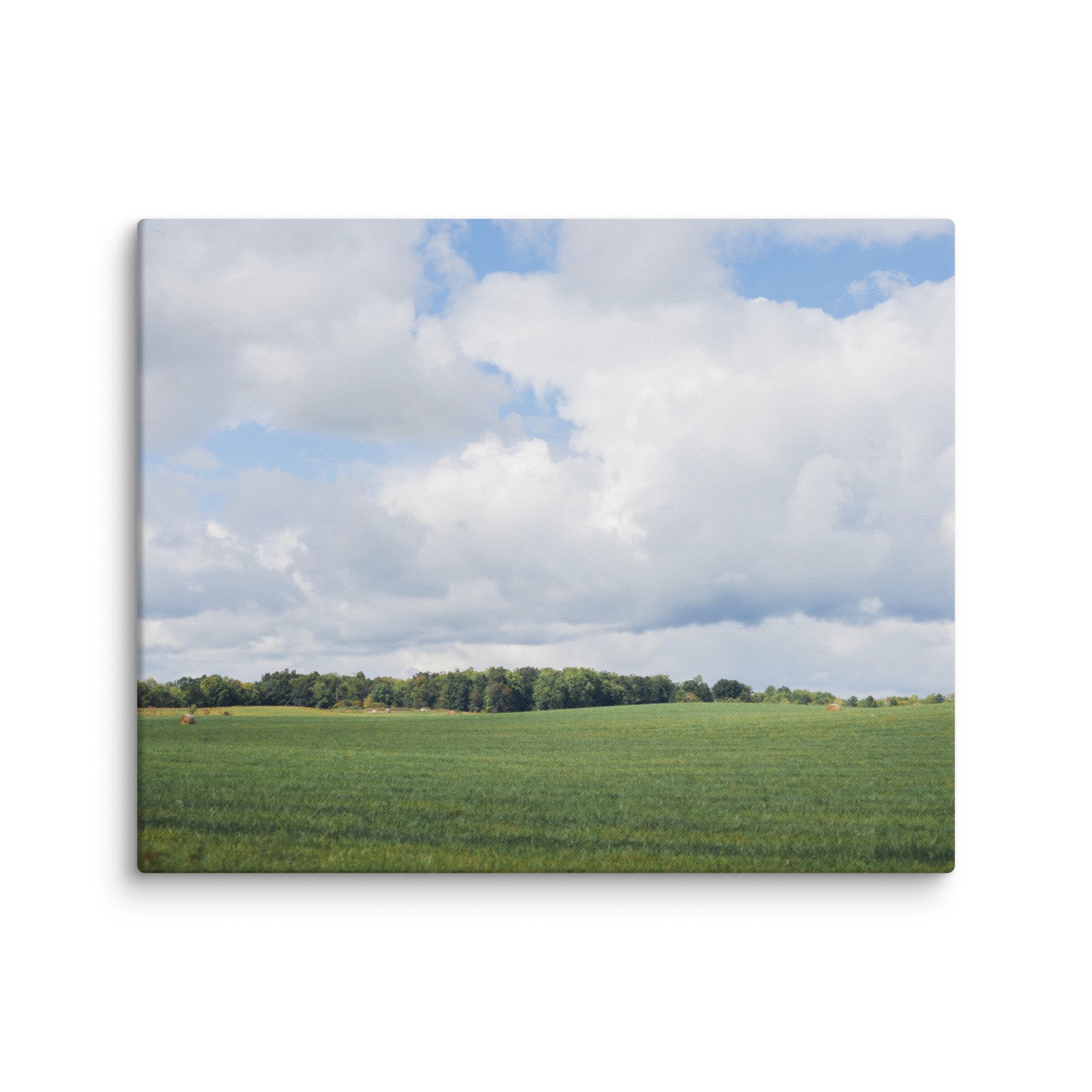 canvas-(in)-16x20-wall-67e60e1a96b83.jpg
