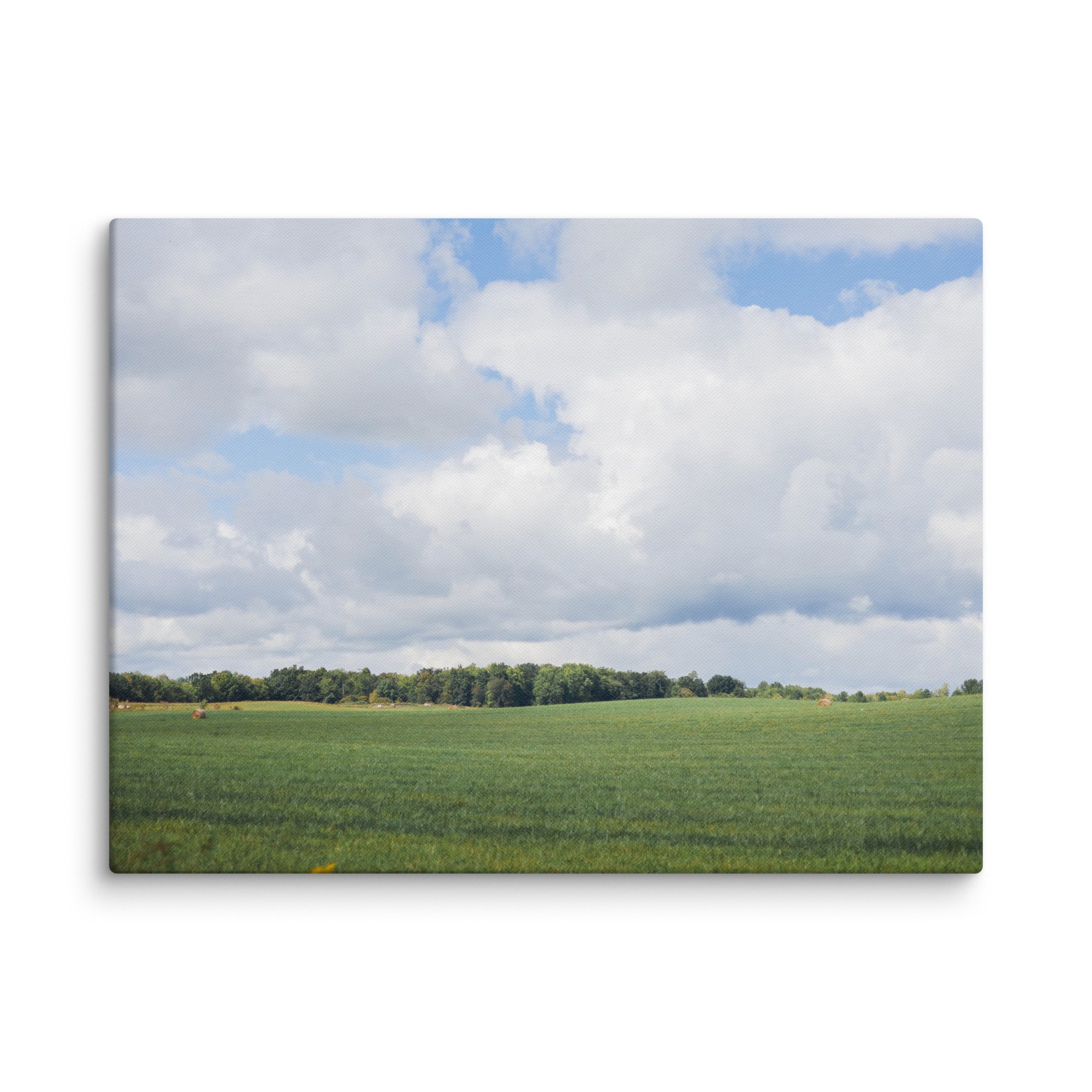canvas-(in)-18x24-wall-67e60e1a97664.jpg