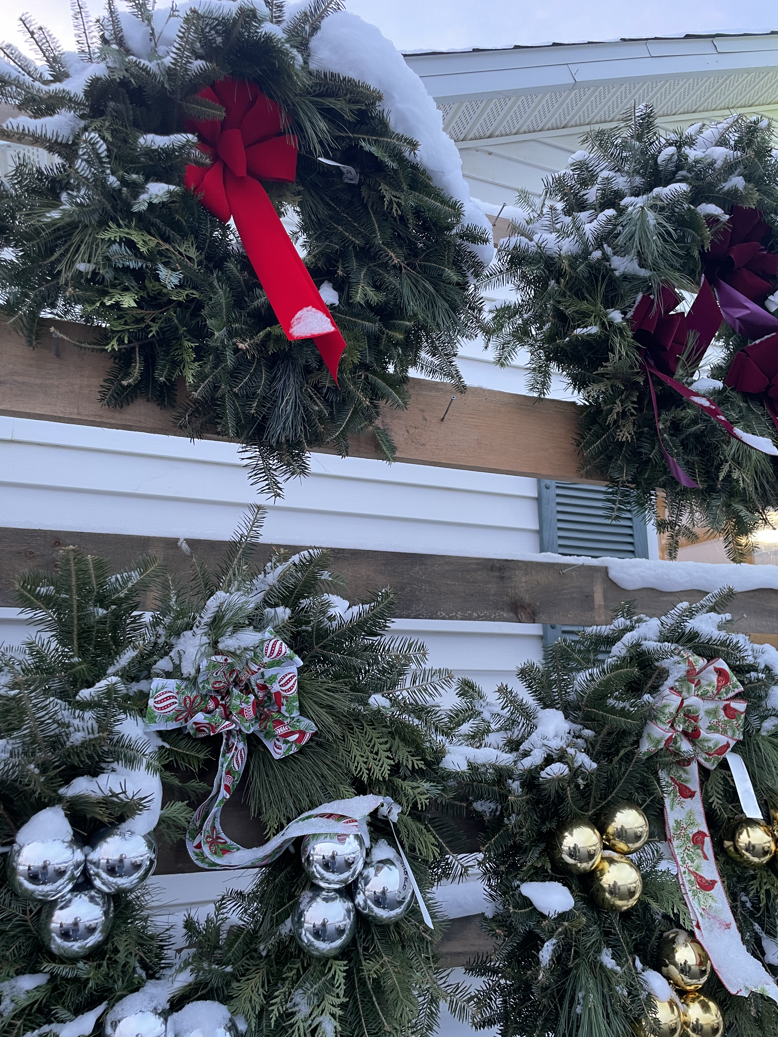 A beautiful new year awaits