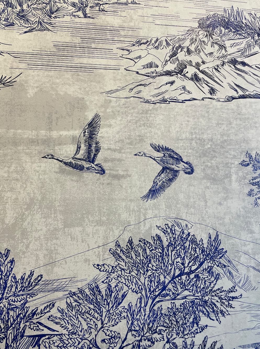 Flying into the new year 