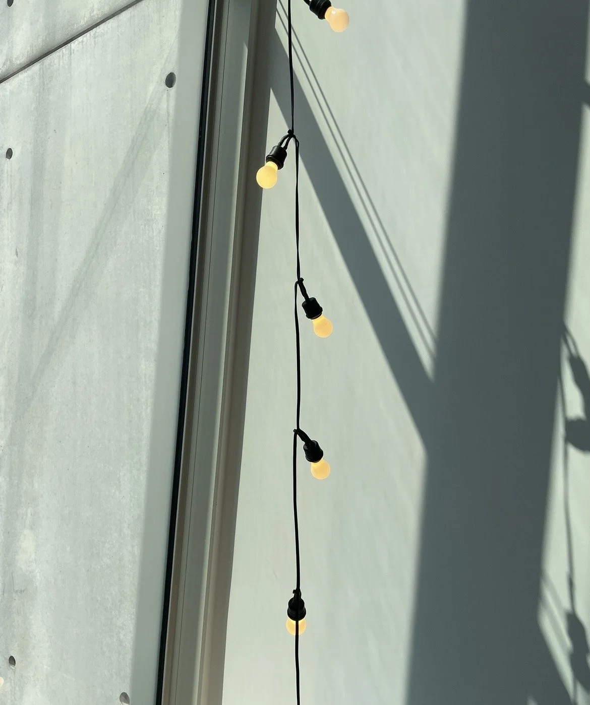 The light still finds me 