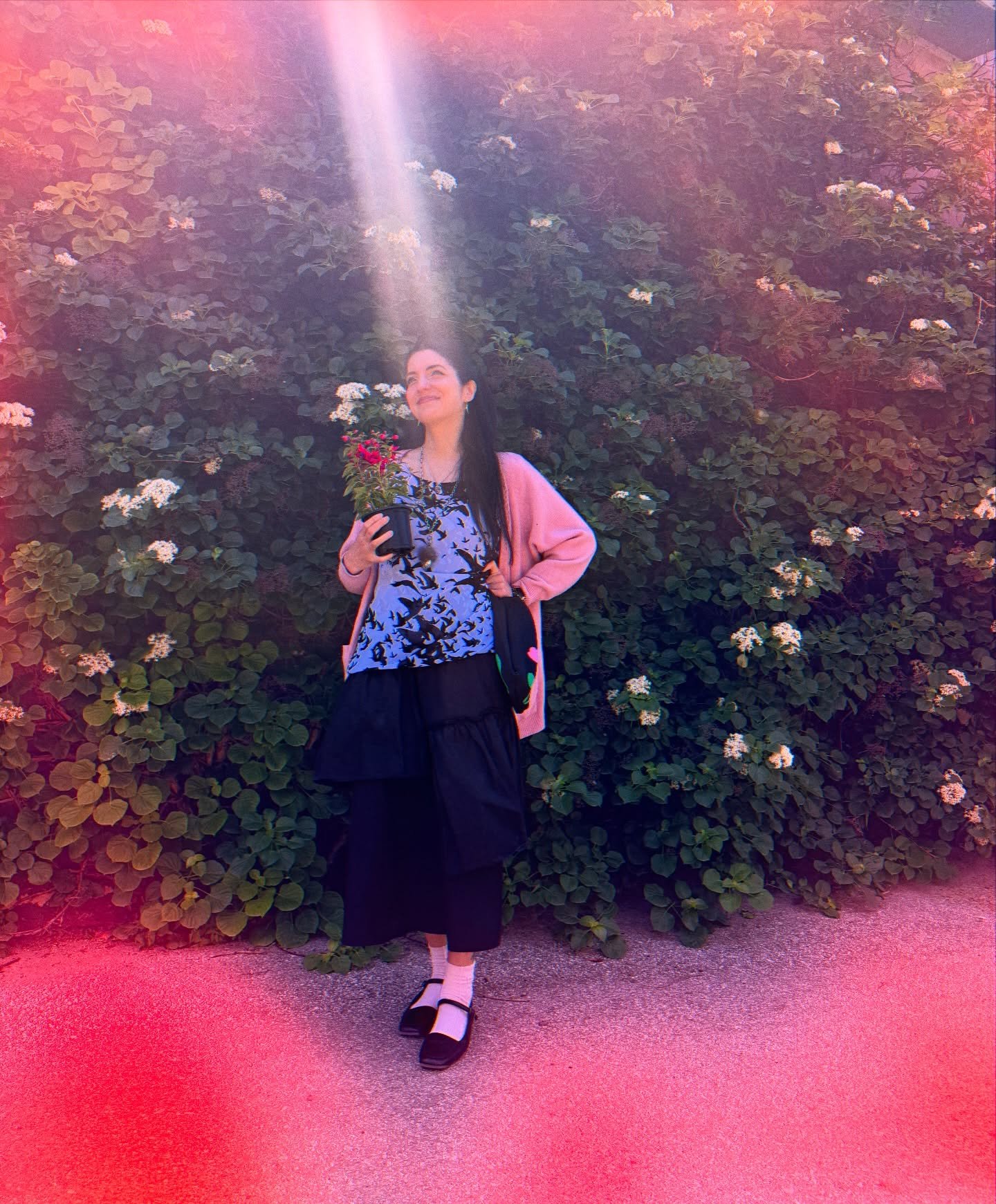 When a walk amongst the flowers becomes a deep dive into ego dissolution 💐

A very *light* 😆 read on the experience of the parts and pieces of identity losing their importance. Thus becoming strangers. 

Read it now for free on my Substack 💫

Cl!n