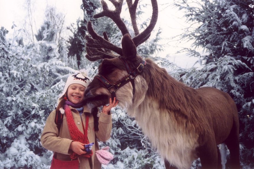 BORD sc2comet002_e.jpg