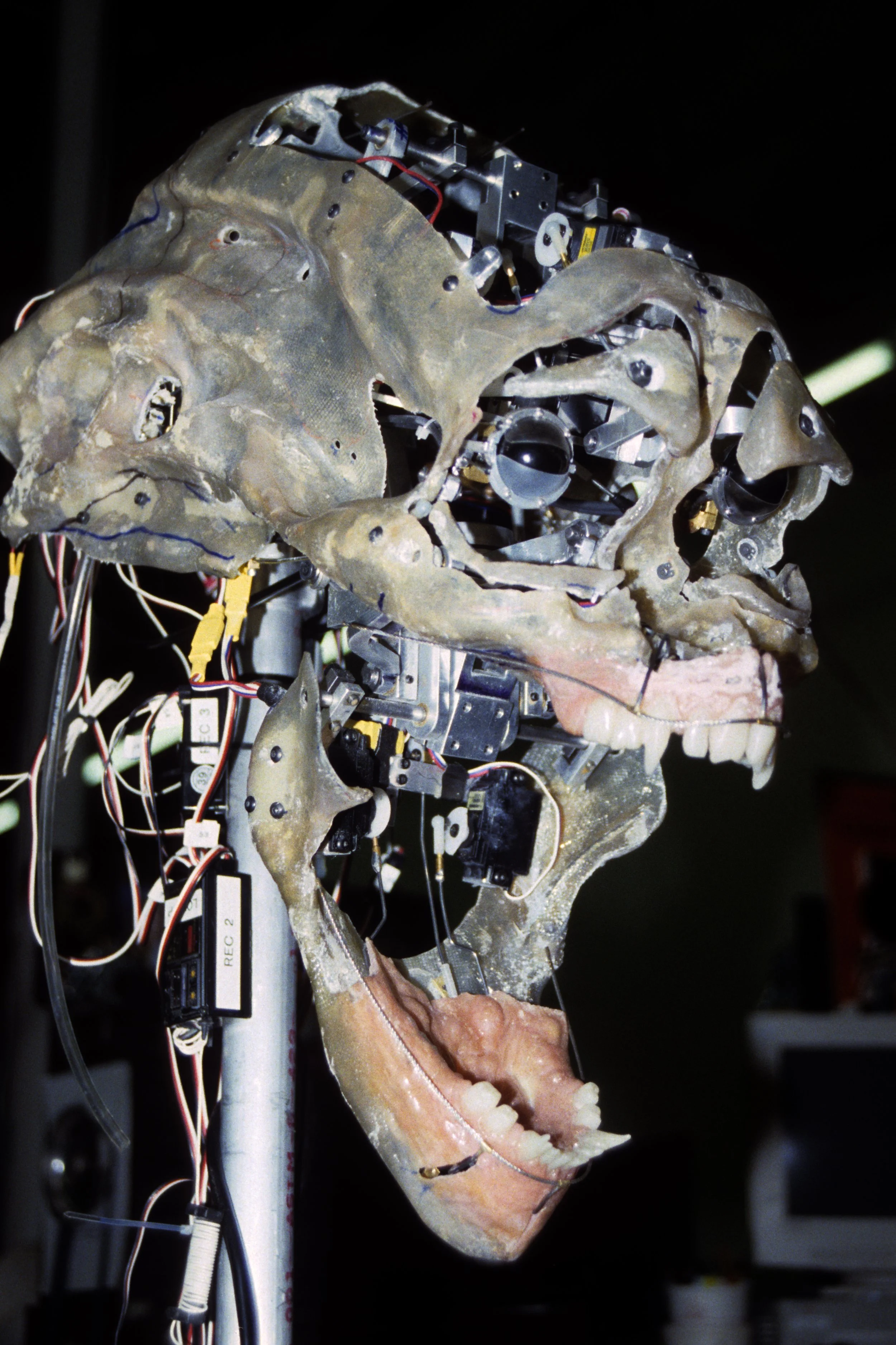 ALIEN4 255.jpg