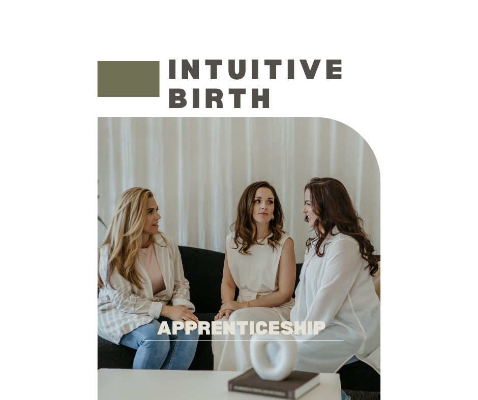 Doula Apprenticeship Program