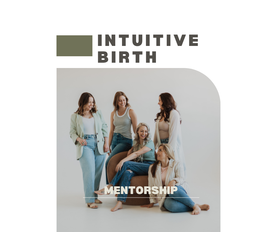Doula Mentorship Program