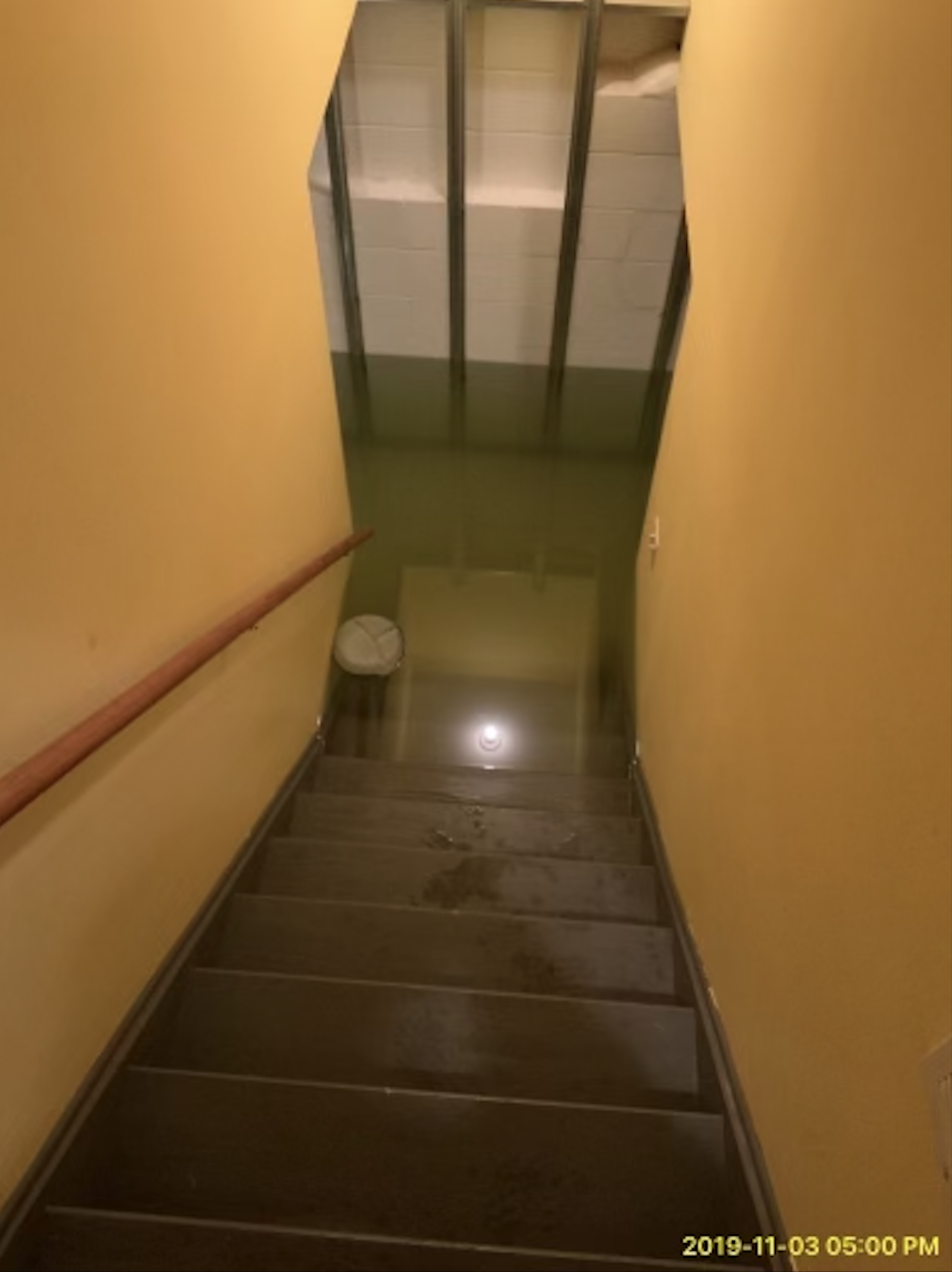 Photo of a staircase leading down, with yellow walls and a wooden handrail on the left side. The stairs are dark wood and have some water spots. At the bottom, there's a shiny floor, a small white trash can on the left, and a glass wall or window wit