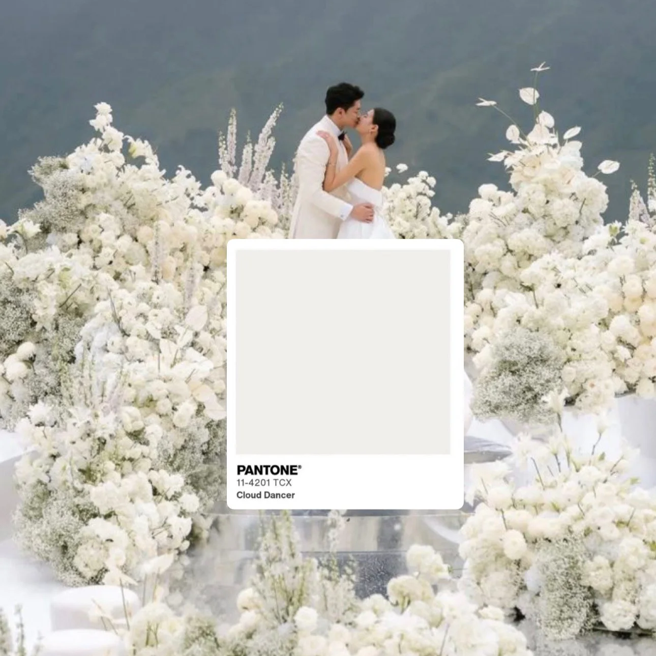 Pantone Color of the Year 2026: Cloud Dancer