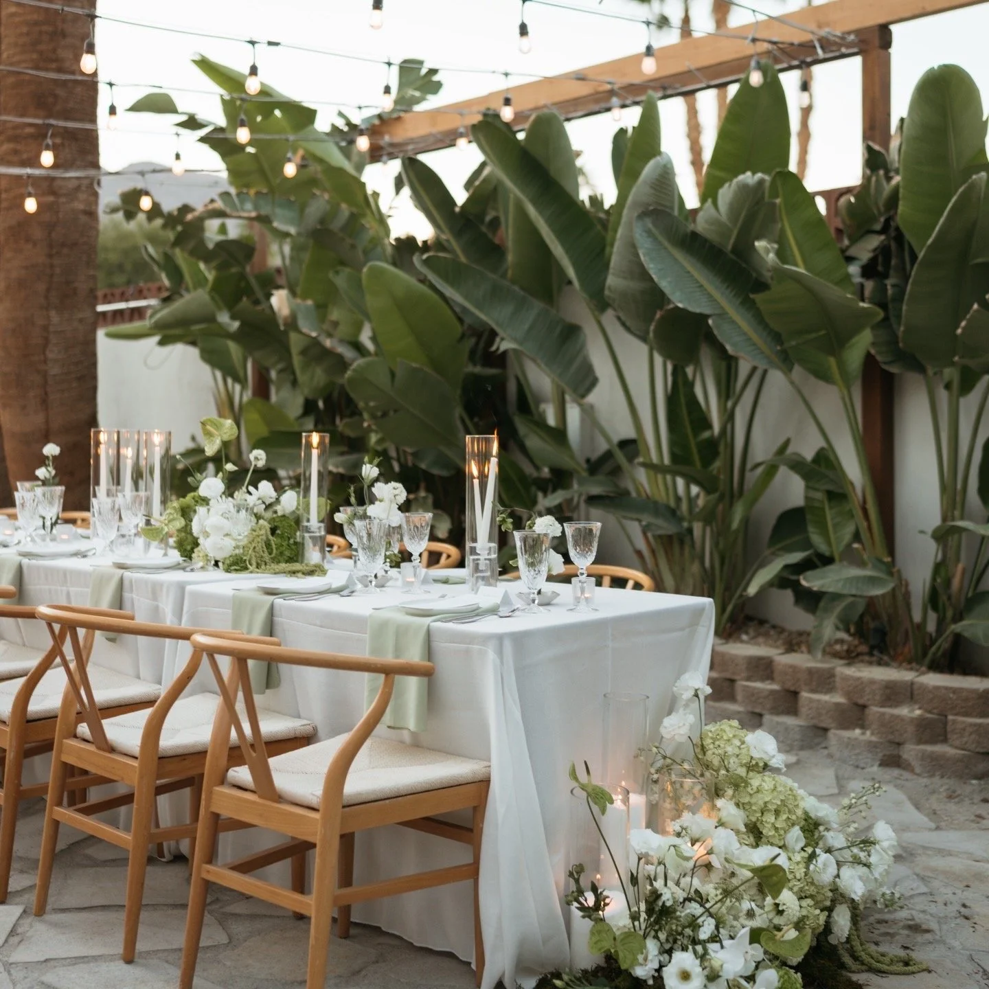 Outdoor wedding reception table decorated with white flowers, candles, and green table runners, set against large green leafy plants and string lights.
