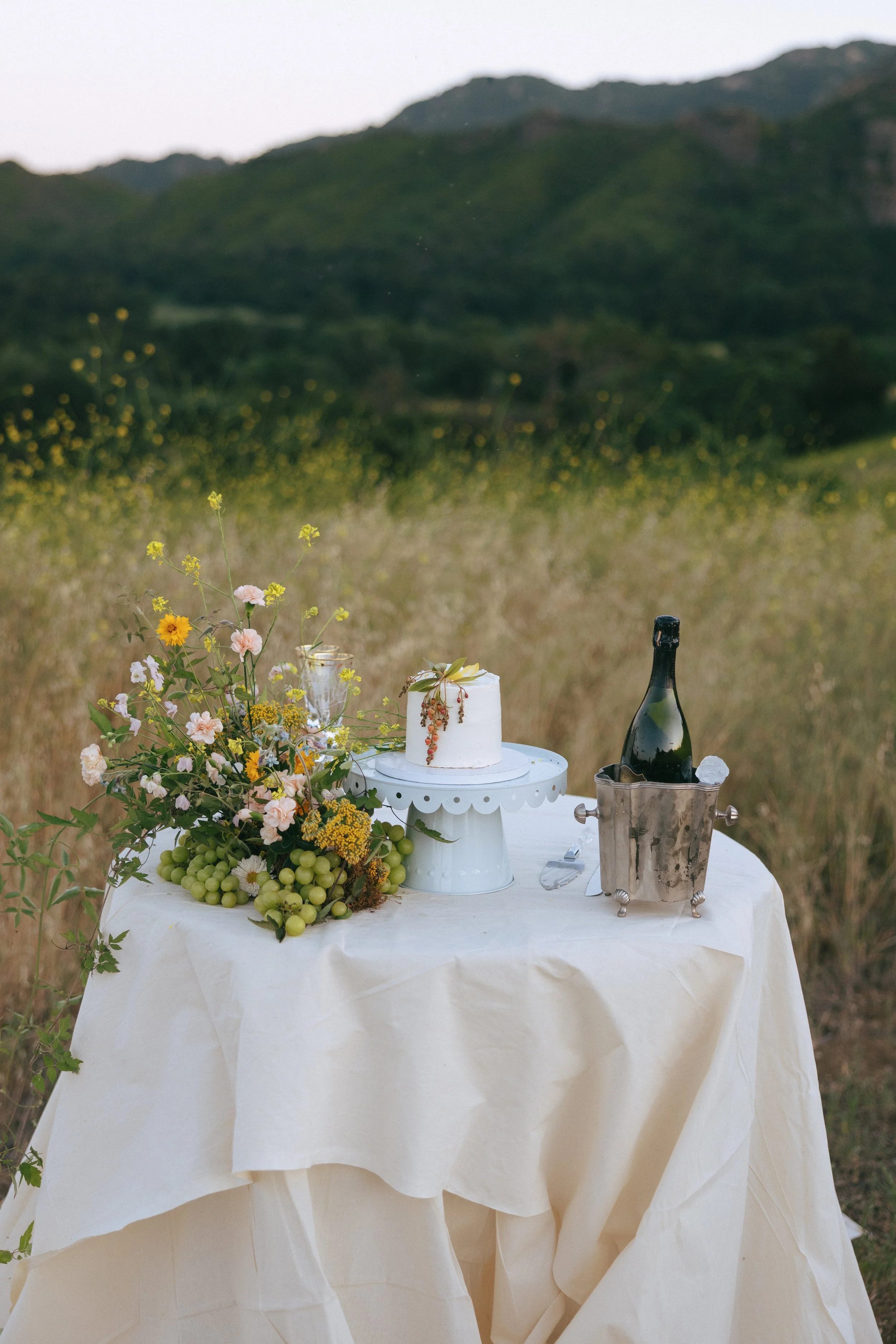 wrenn-photo-malibu-elopement-197.jpg