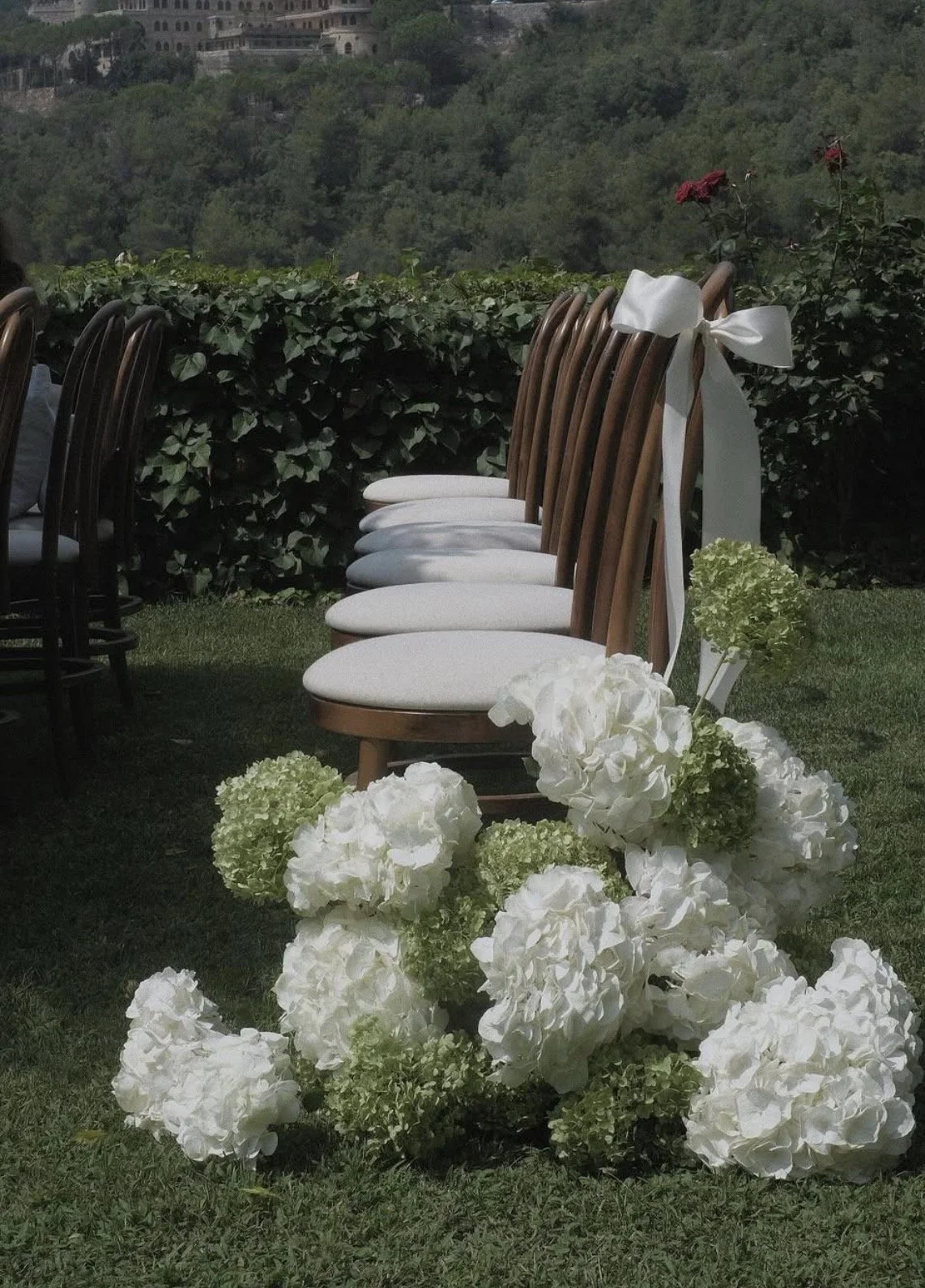 Line of wooden chairs decorated with white ribbons, placed outdoors on a grassy area for a wedding or event, with white and green hydrangea flowers in the foreground and a lush green hillside in the background.