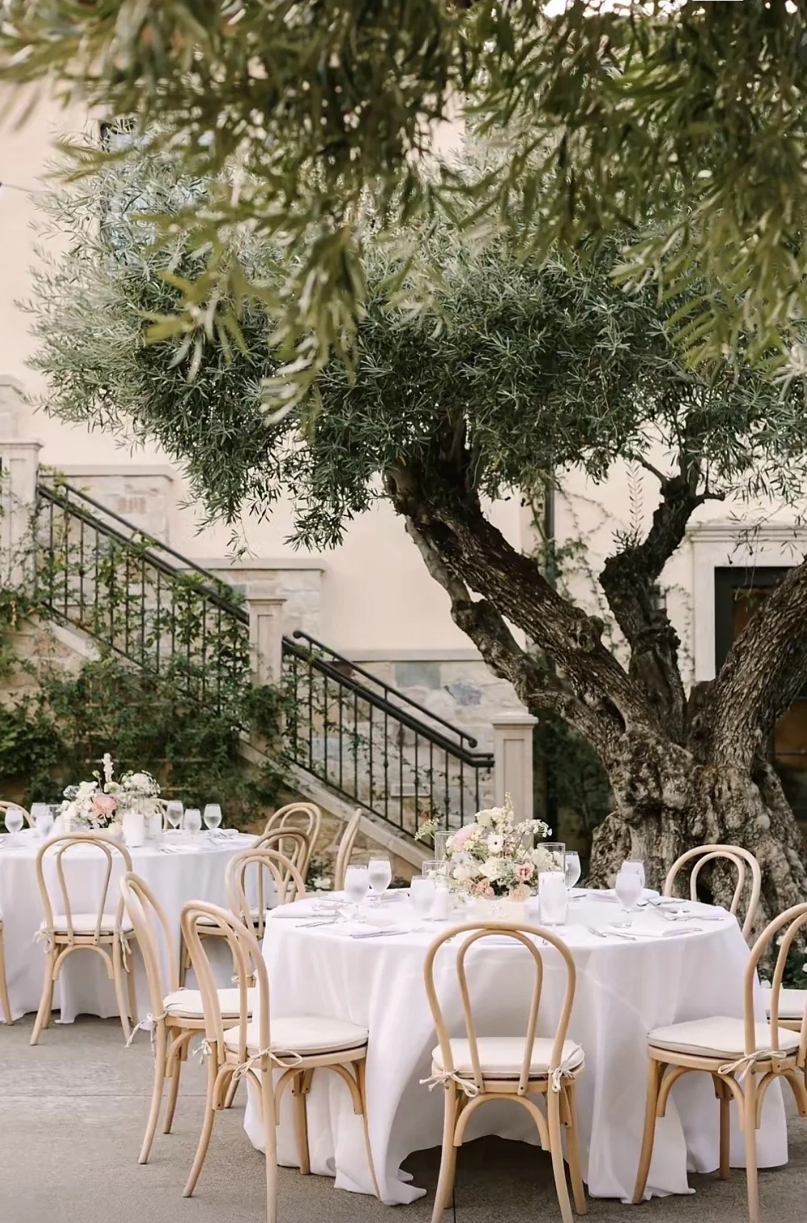 Outdoor wedding or event setup with round tables covered in white tablecloths, decorated with floral centerpieces and set with glassware and plates, under a large, ancient olive tree with green foliage, in front of a staircase with a decorative raili