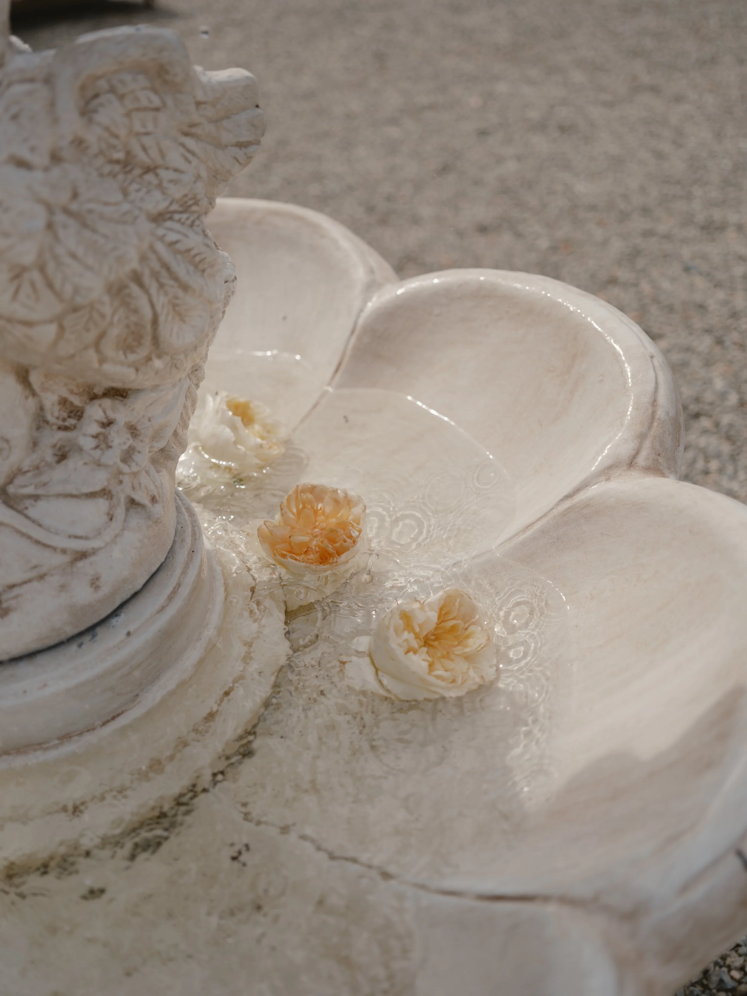 Close-up of a decorative stone fountain with flowers floating on water, set against a concrete background.