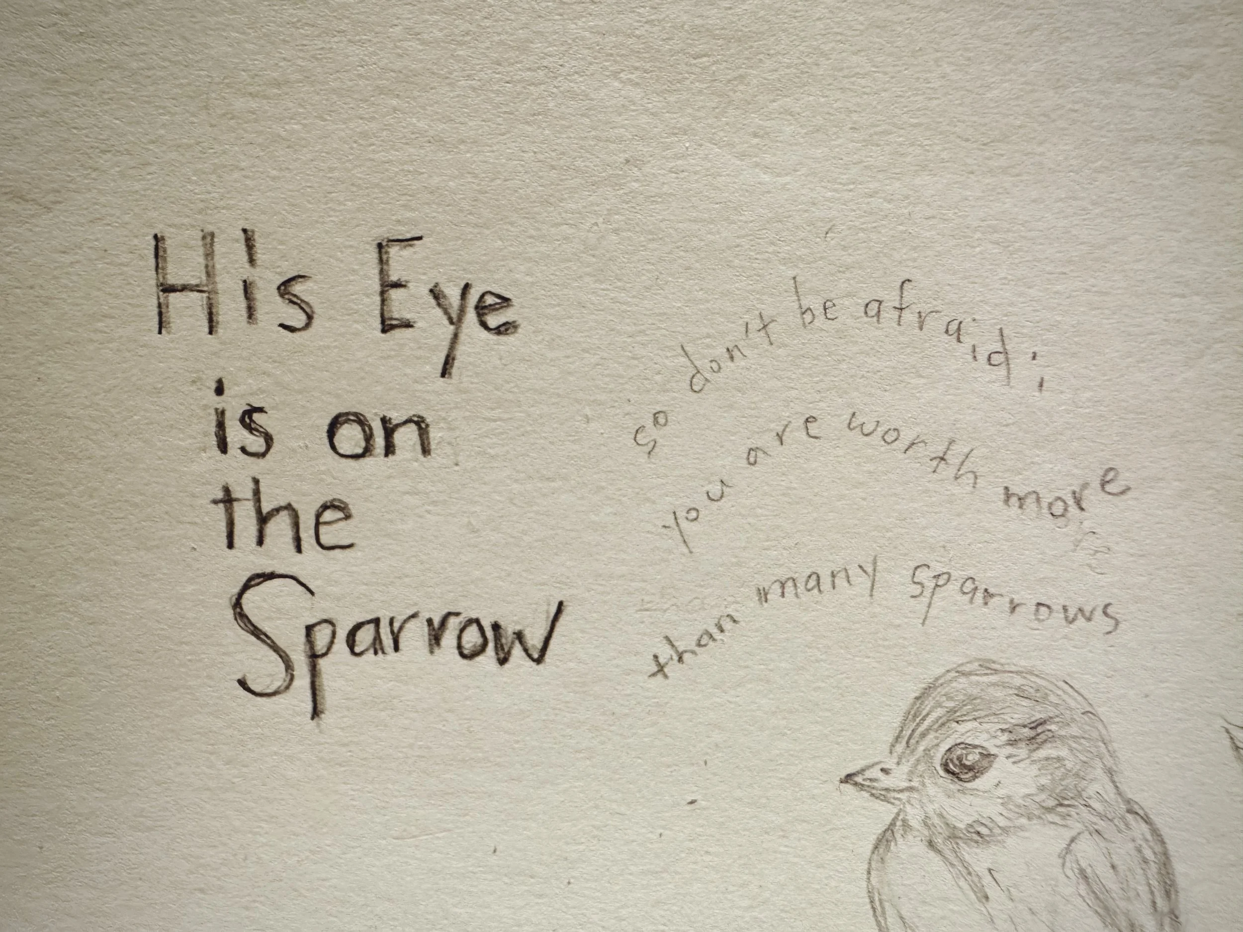 His Eye is on the Sparrow, so don't be afraid; you are worth more than many sparrows with sparrow drawing