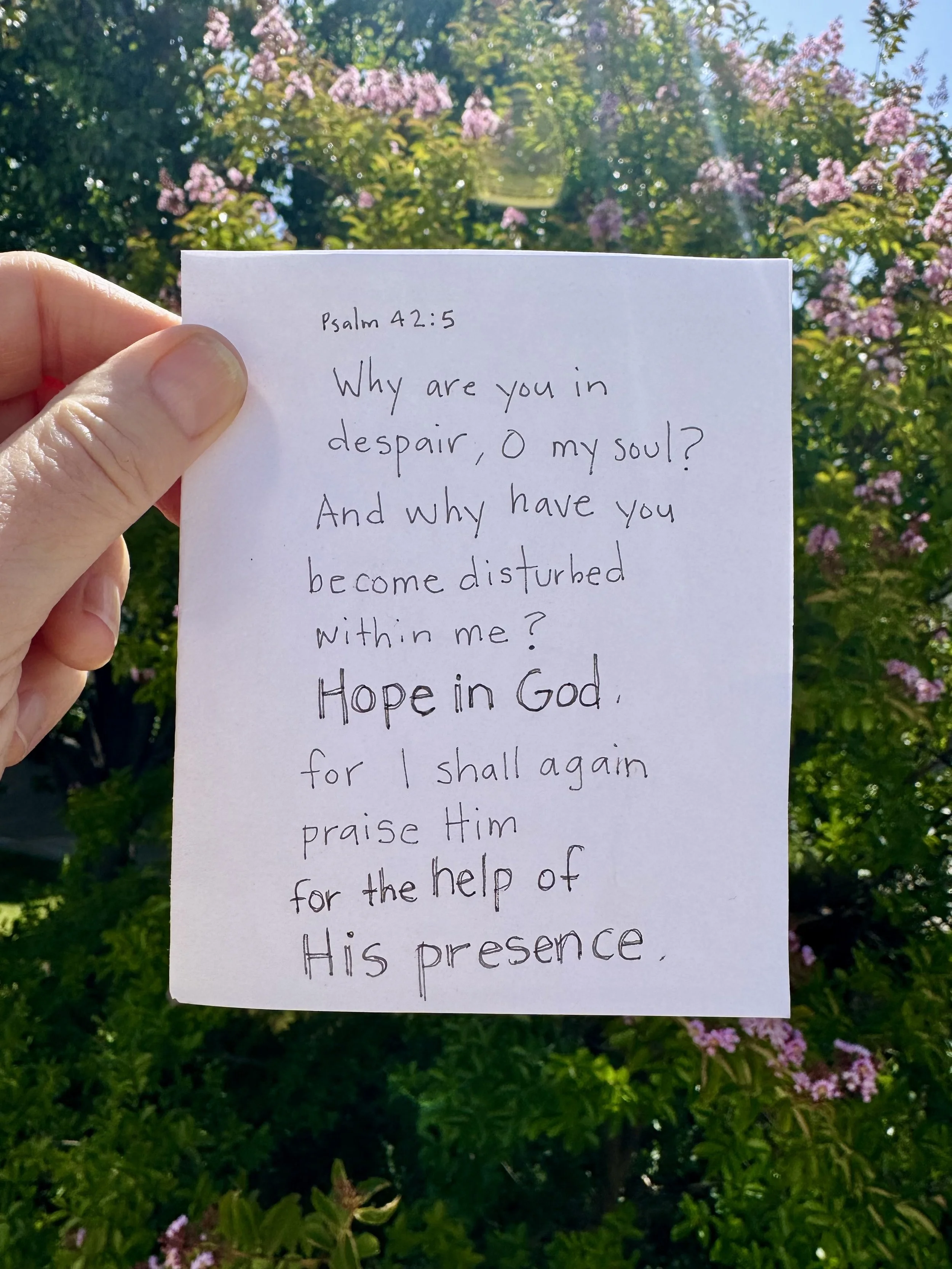 Psalm 42:5