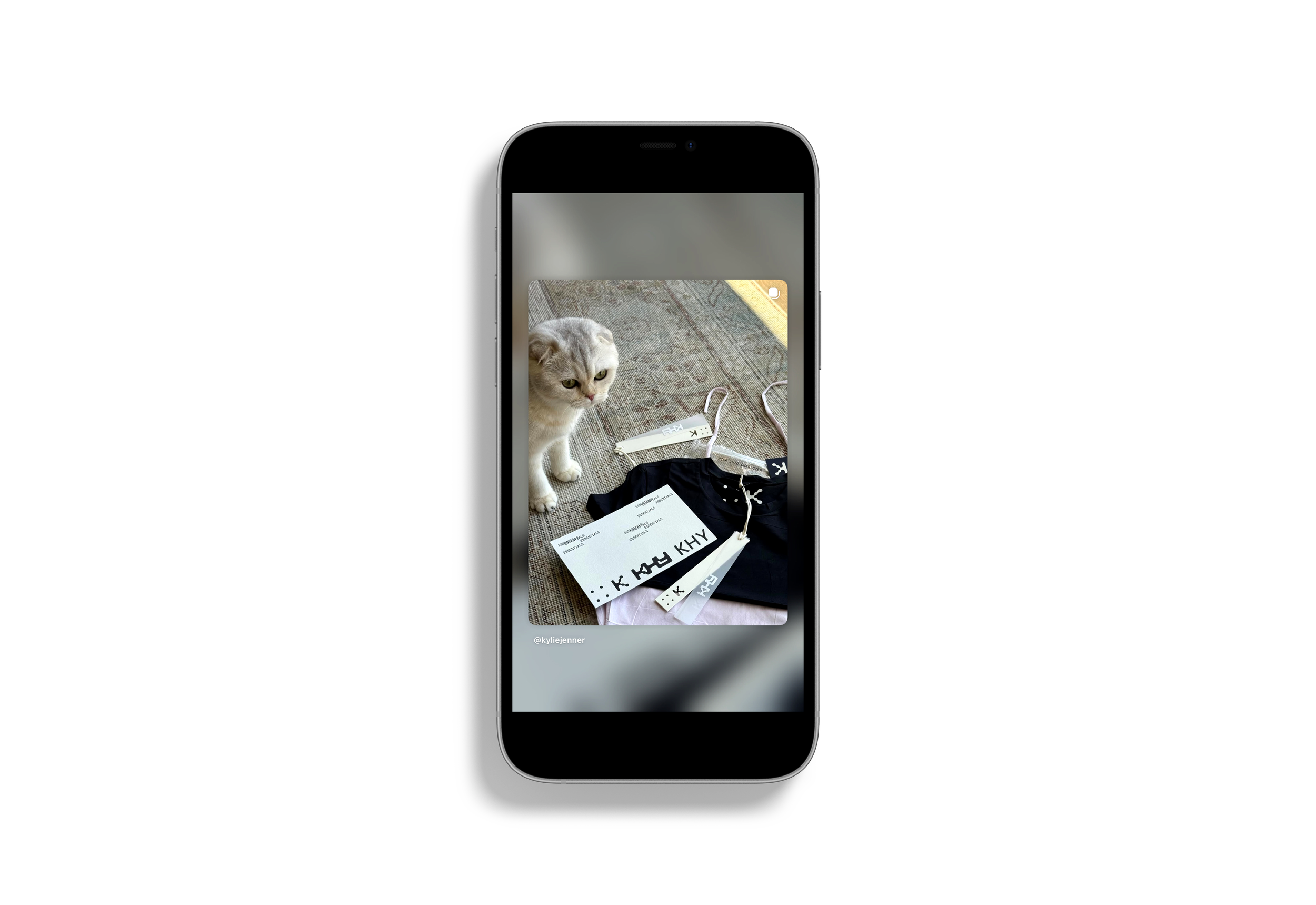 iPhone 12 01 Standard Mockup copy.png