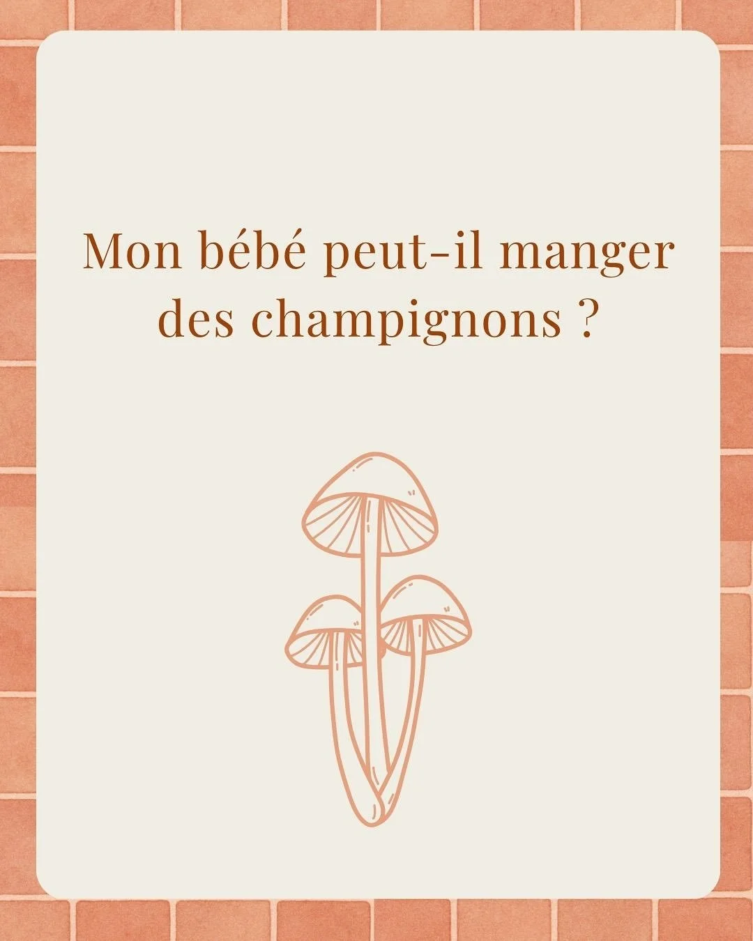 🍄&zwj;🟫Le Saviez-vous? On peut donner des champignons &agrave; b&eacute;b&eacute; d&egrave;s 6 mois... mais pas n&rsquo;importe comment !

🍏 Je simplifie la Diversification Alimentaire de b&eacute;b&eacute;.

Abonne-toi pour plus de conseils repas