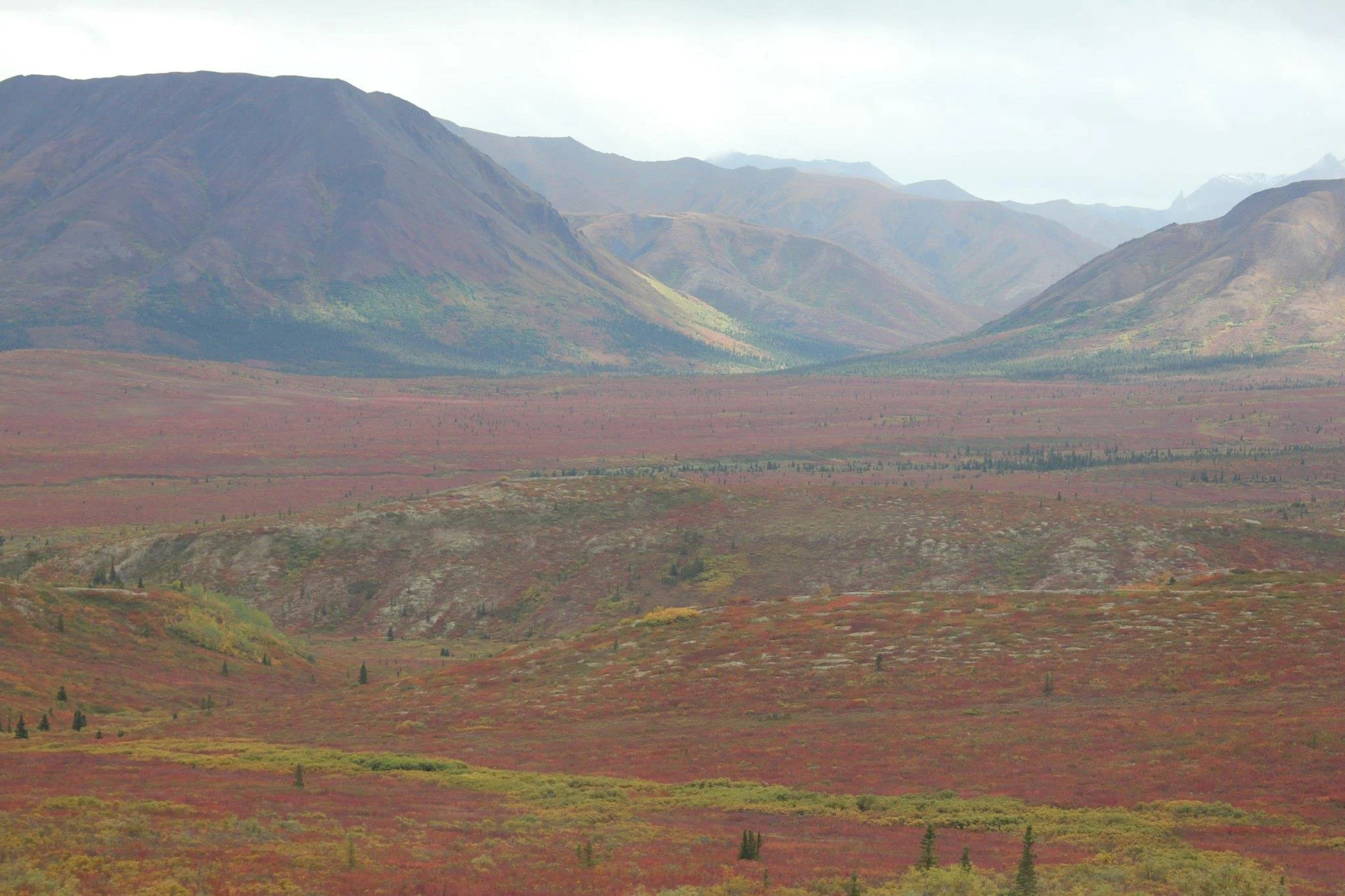 A scenic landscape of mountains in the distance with colorful foliage in the foreground, suggesting an autumn setting.
