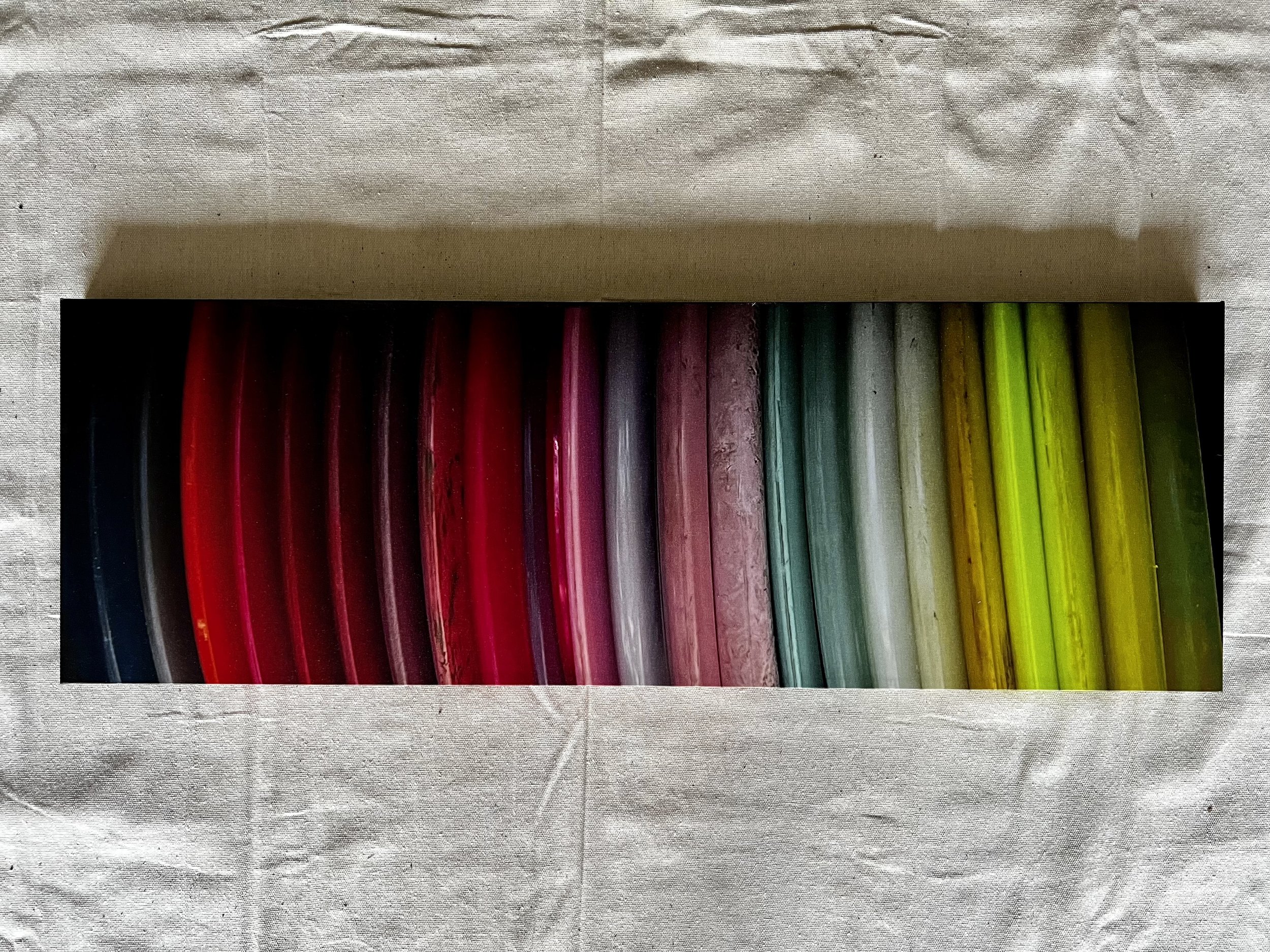 Disc Golf Bag 12x36 Canvas Print