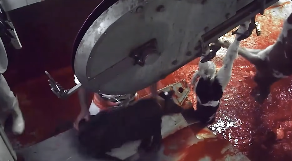 Photo: Dominion (2018)