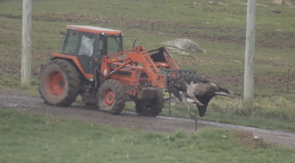 Photo: Dominion (2018)