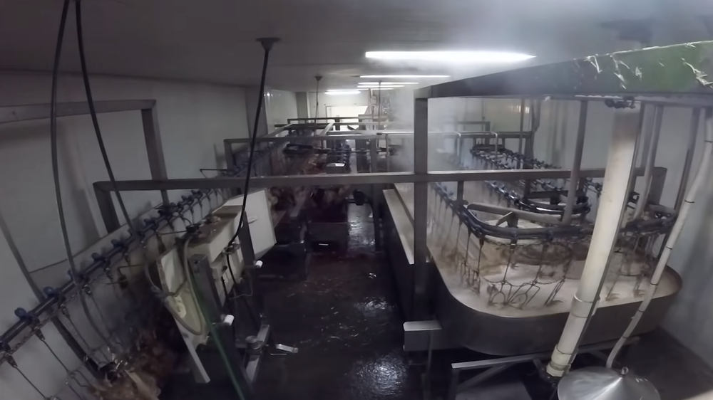 Screenshot 2025-11-26 at 1.11.09 PM.png