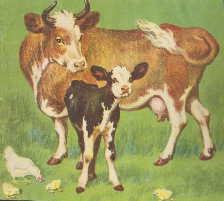 Leaving “Veganism”