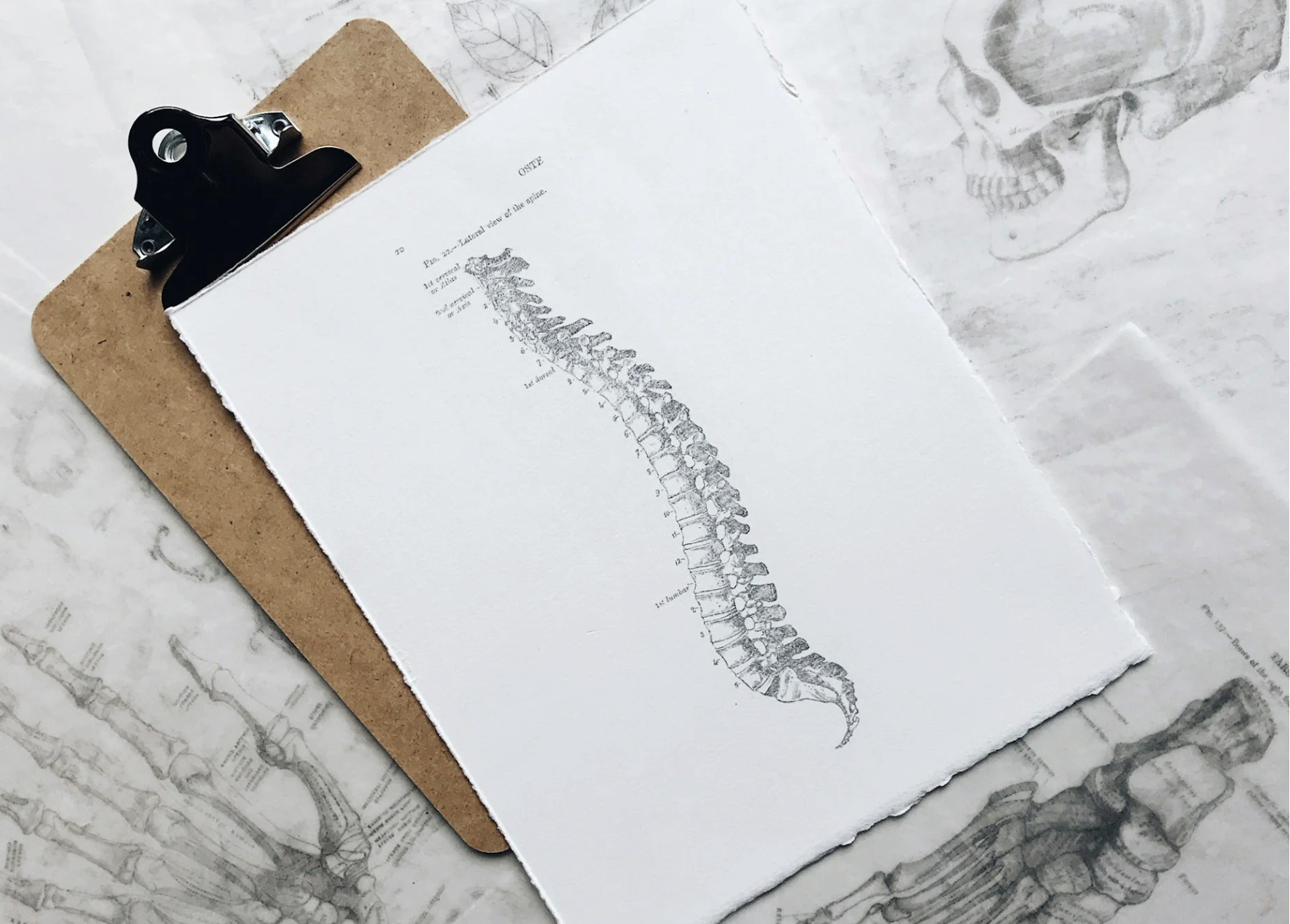 Spinal Healing: Yoga + the ELDOA Method