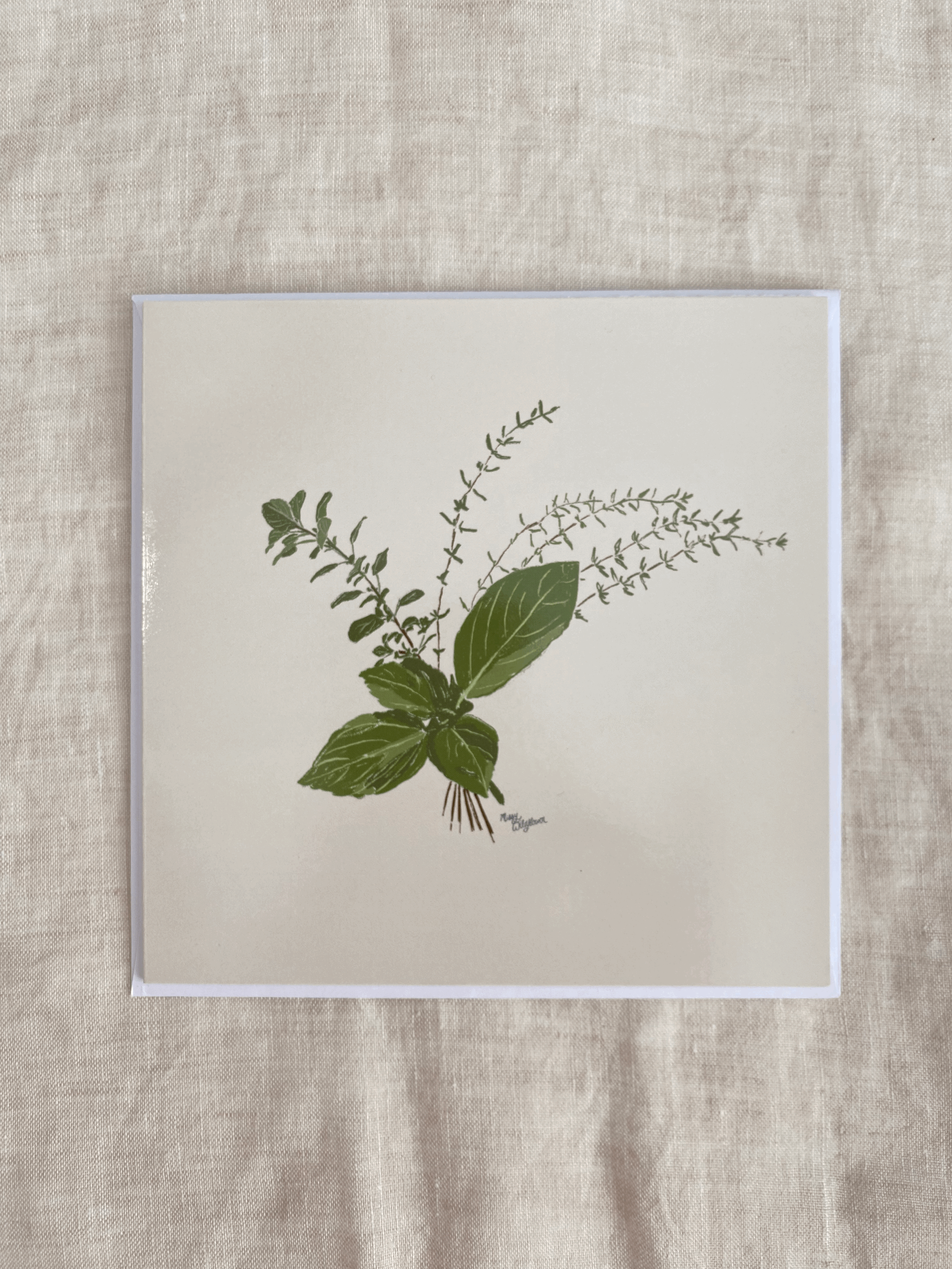 Hand drawn herb greeting card with elegant life-like botanical illustration for food lovers with basil, oregano and thyme from my kitchen garden