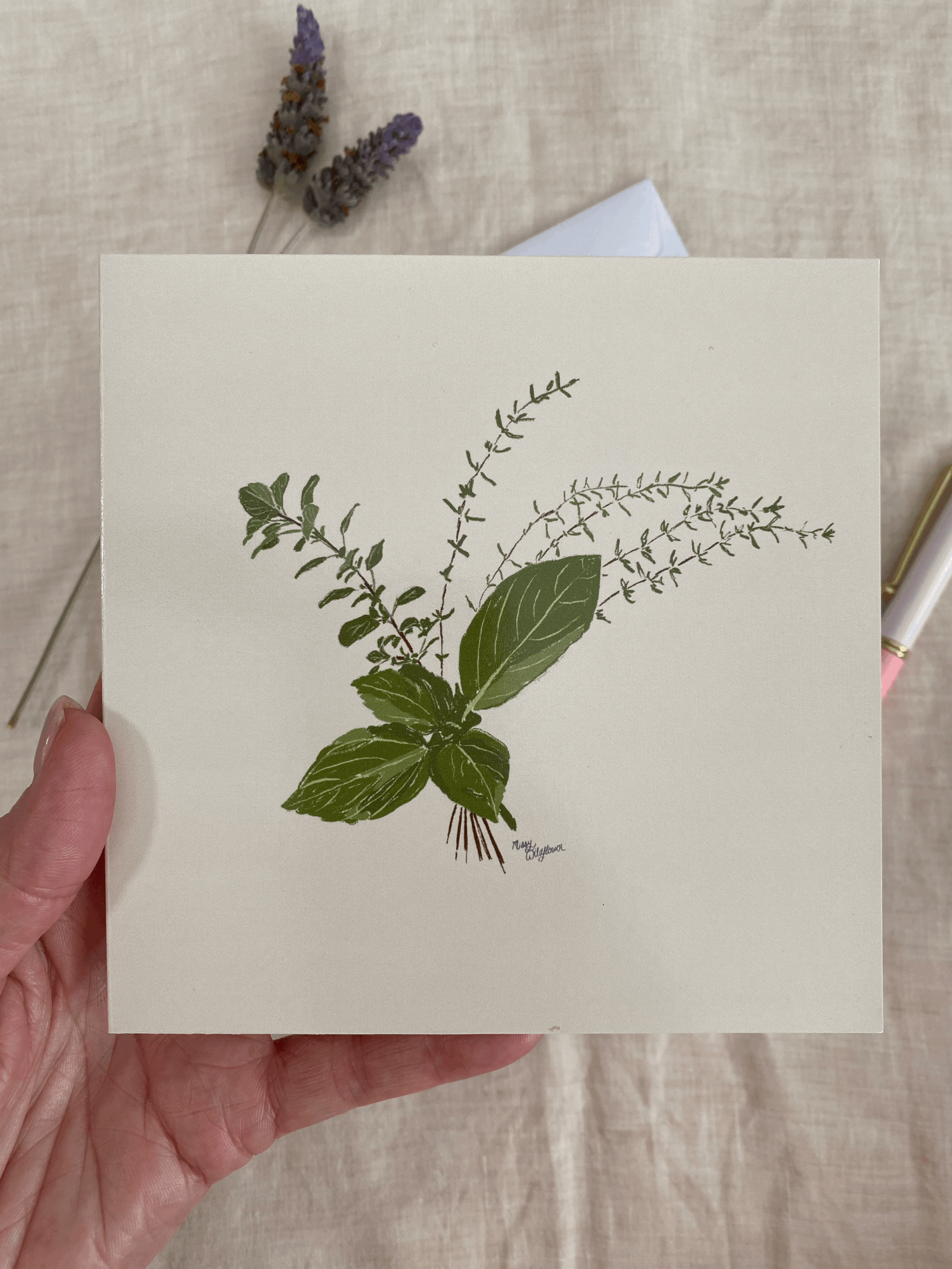 Hand drawn herb greeting card with elegant life-like botanical illustration with basil, oregano and thyme