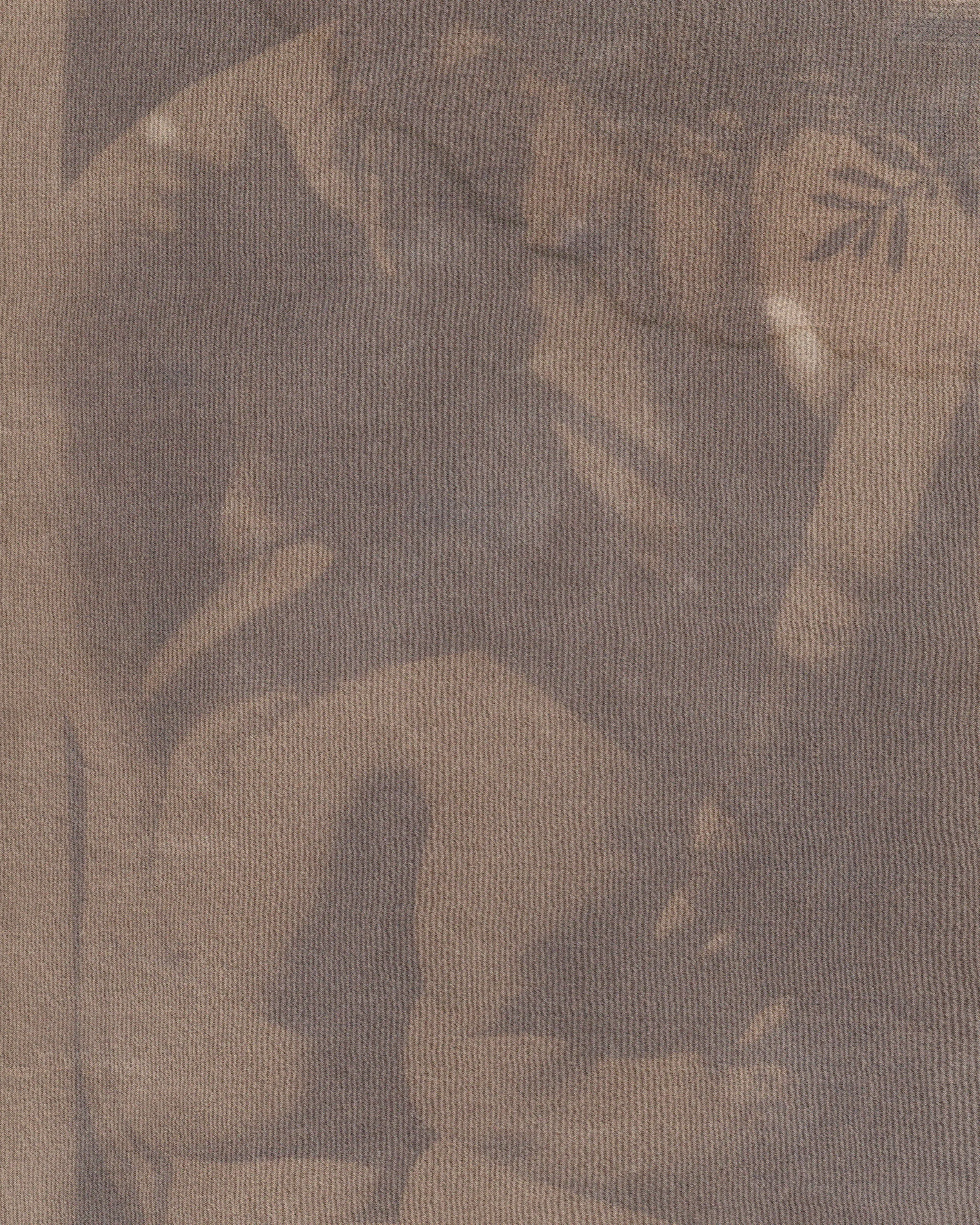 "In Remembrance of this Vessel II"
Anthotype of homegrown Hopi Sunflower seed naturally dyed silk using 35 mm bw photograph resist.