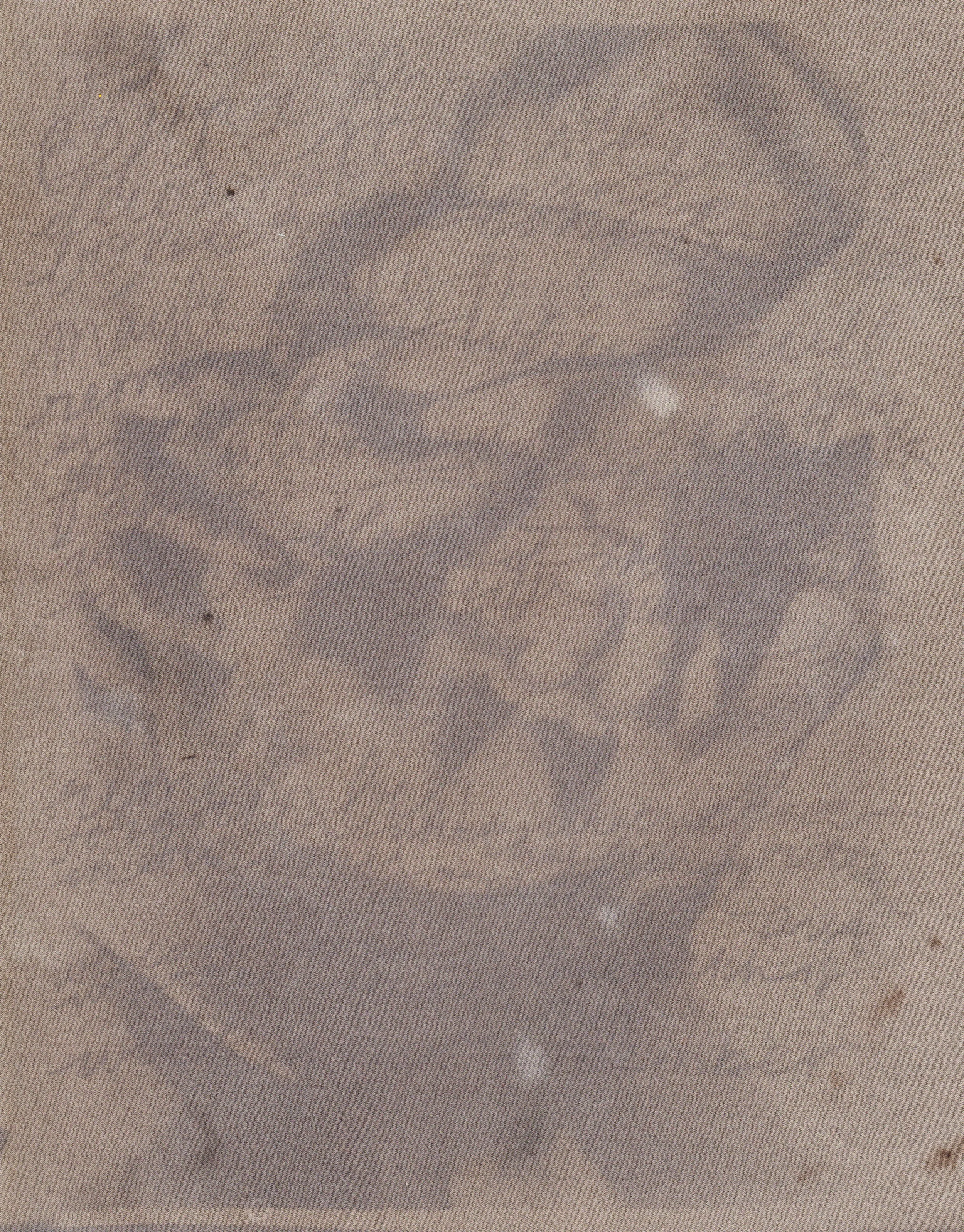 "In Remembrance of this Vessel"
Anthotype of homegrown Hopi Sunflower seed naturally dyed silk using 35 mm bw photograph resist and text overlay.