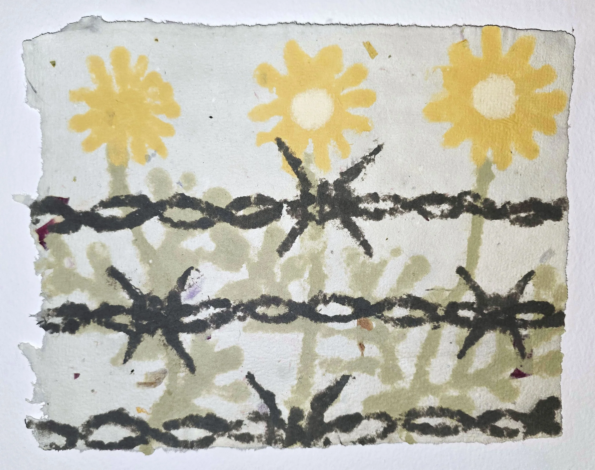 "Manzanilla through Barbed Wire"
Hand made pulp painting paper with yellow ochre, ancient green, and charcoal natural mineral earth pigments on abaca with foraged rose petals, rudbeckia petals, and cempazuchitl seeds from personal garden in Missouri 