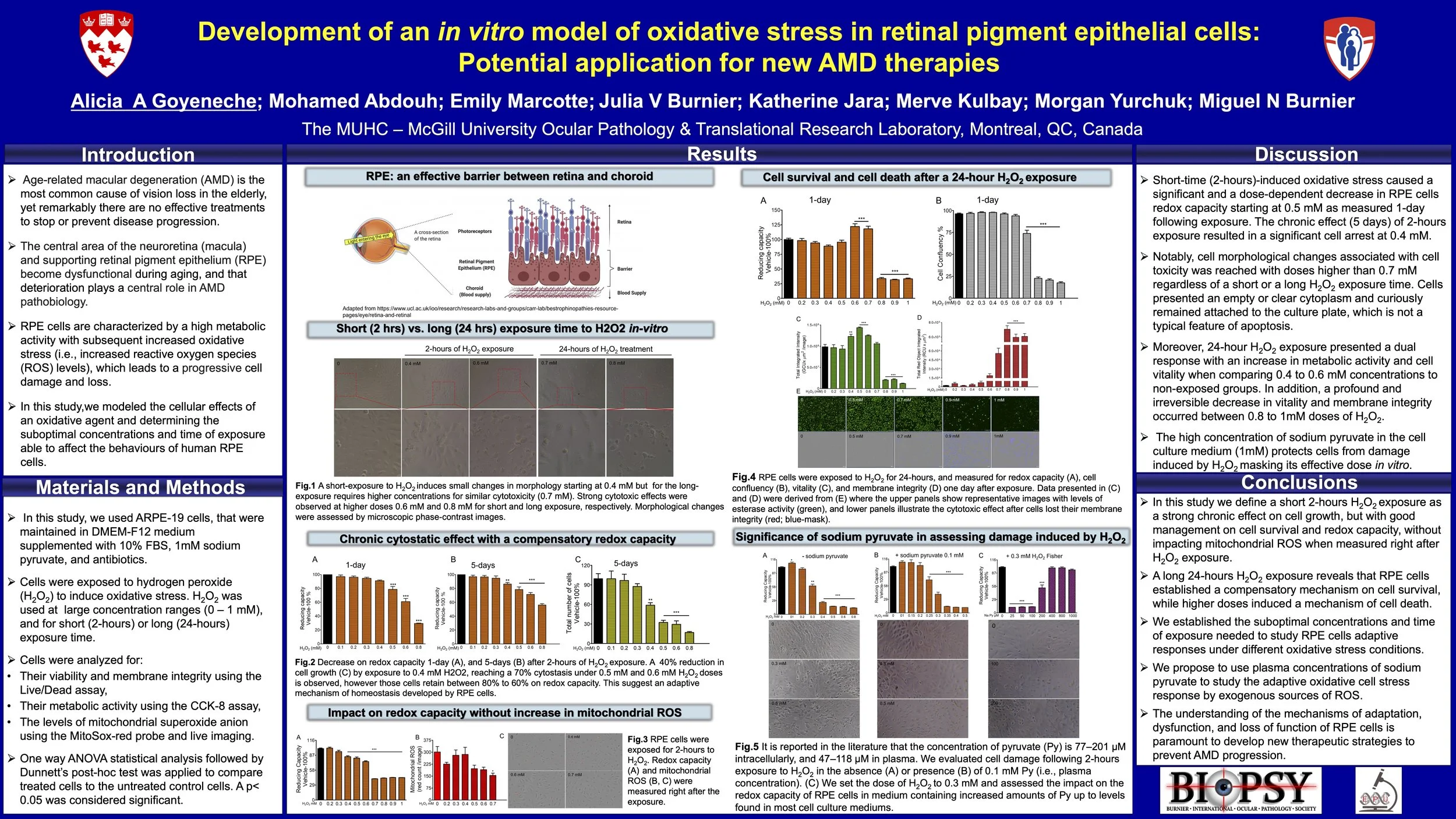 Goyeneche ARVO 2025 (2).jpg