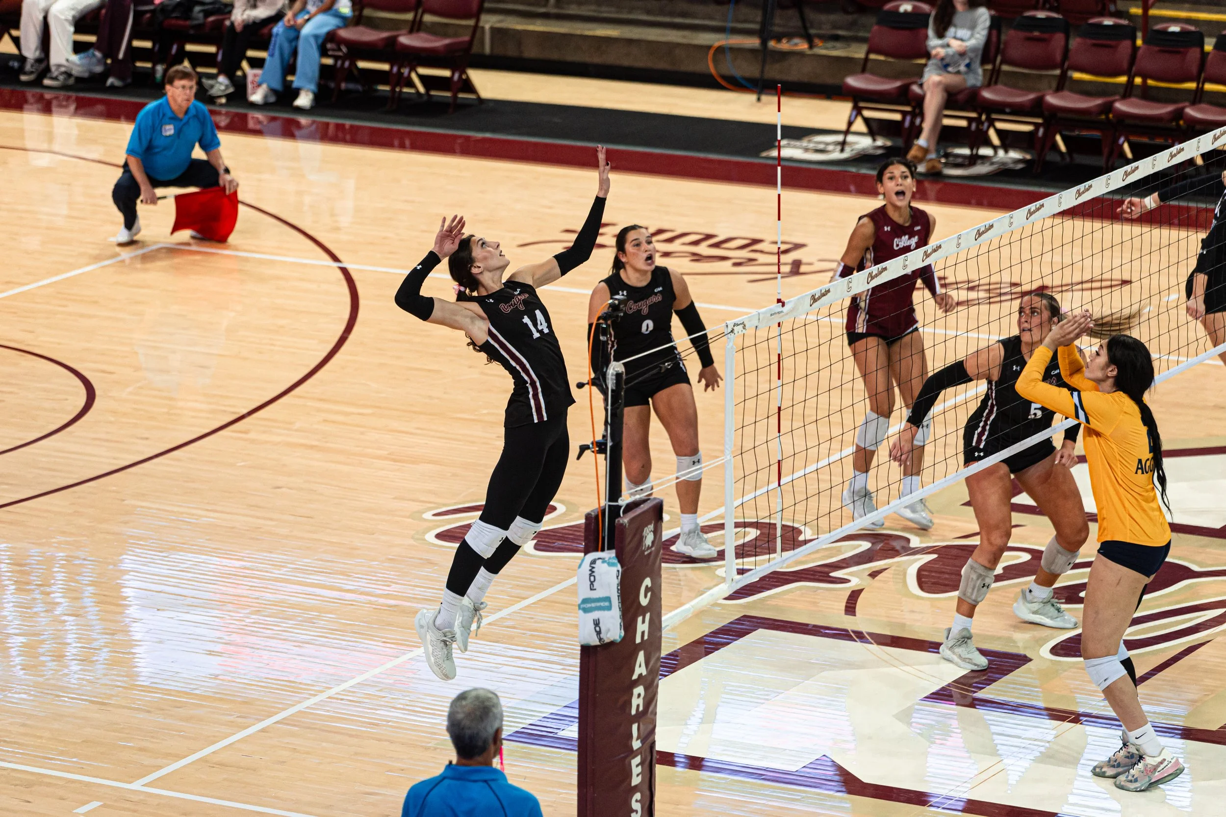 Izzy Marinelli 5.JPG