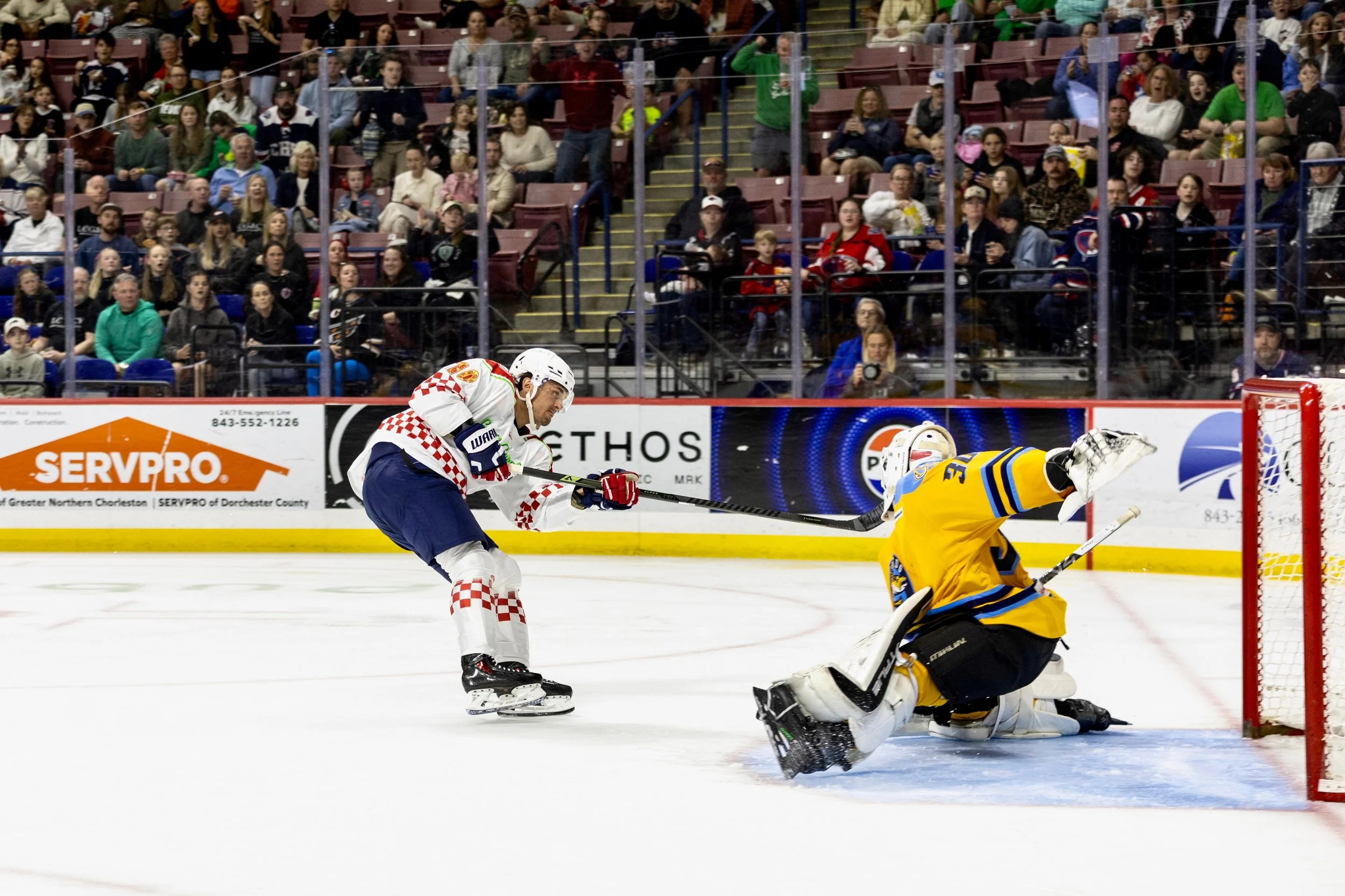 stingrays3.14-4643.jpeg