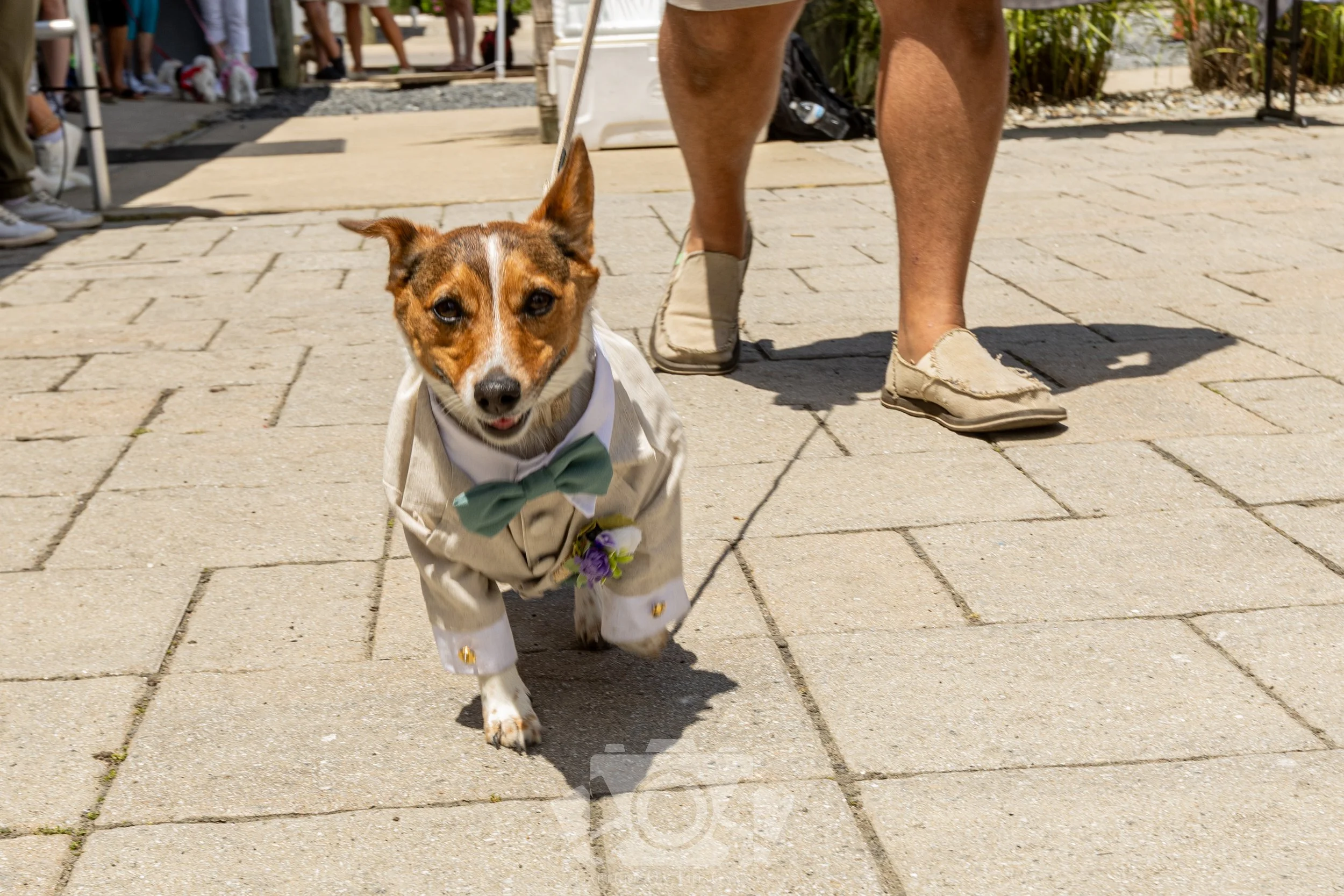 IMG_3917.jpg