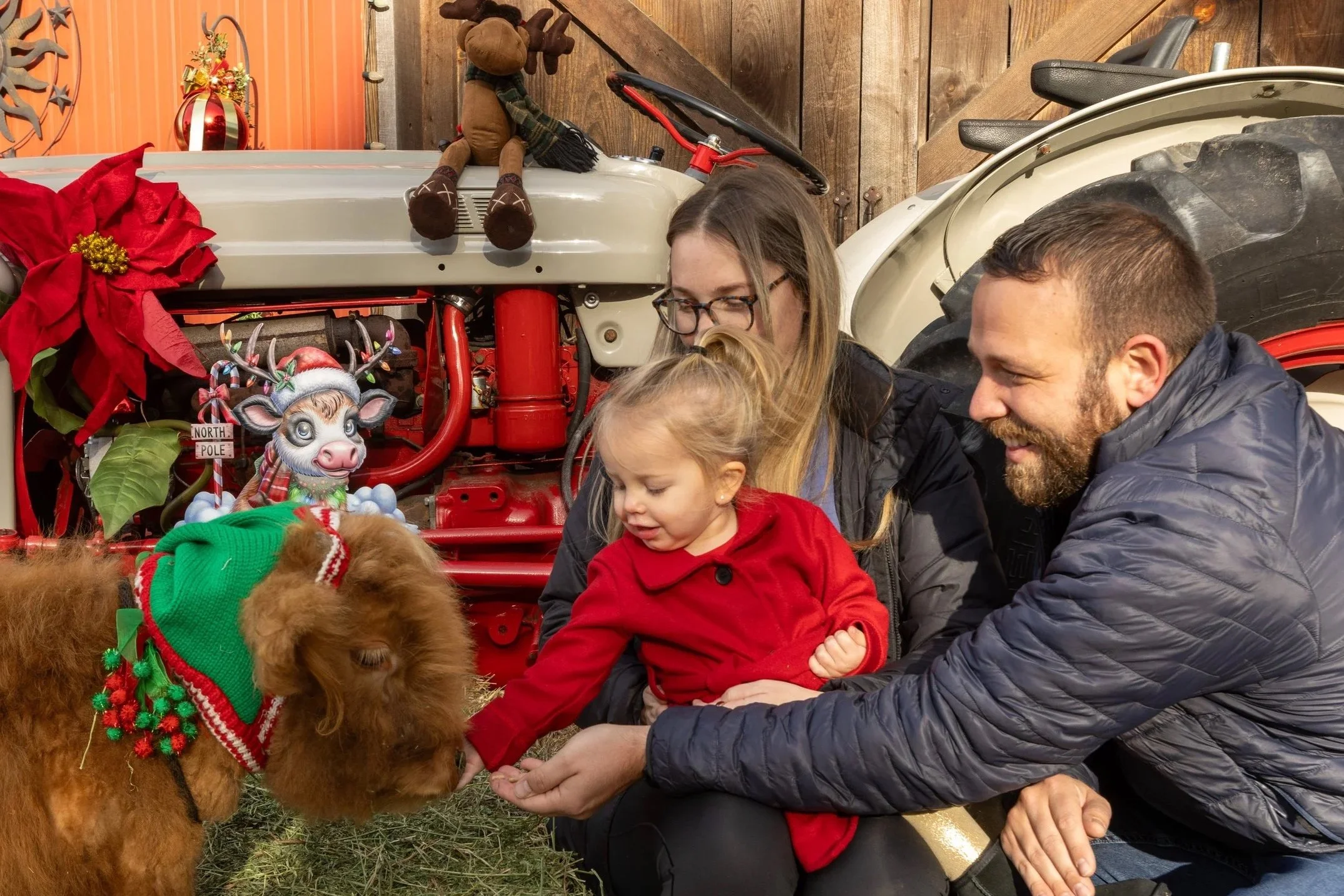 Ferrara Family W/ Finn - Christmas 2025